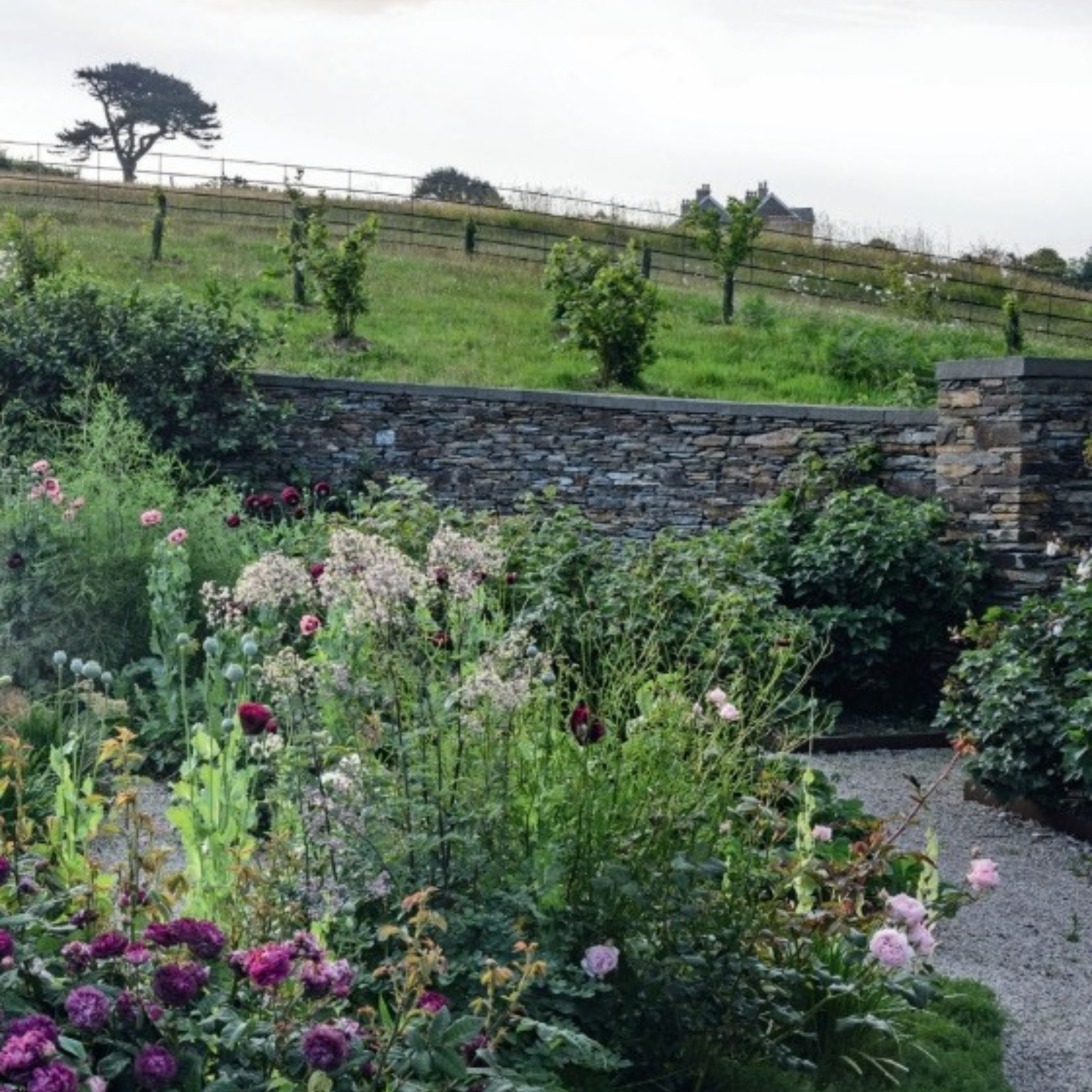 Gardens Illustrated: The New Beautiful: Inspiring Gardens for a Resilient Future