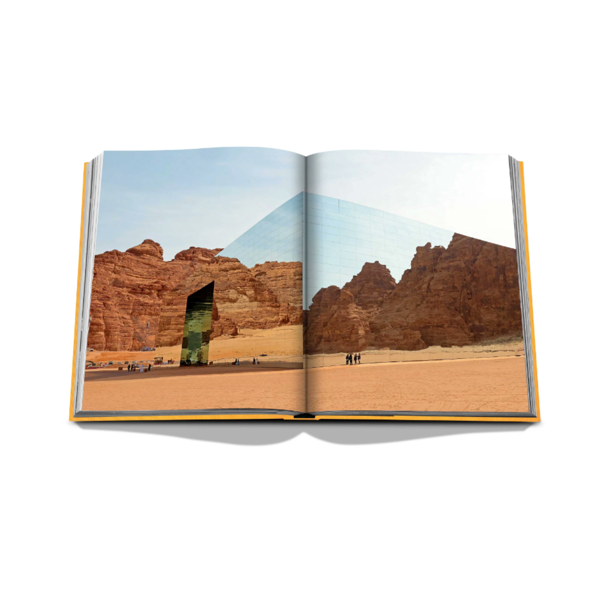 Alula Ever Book