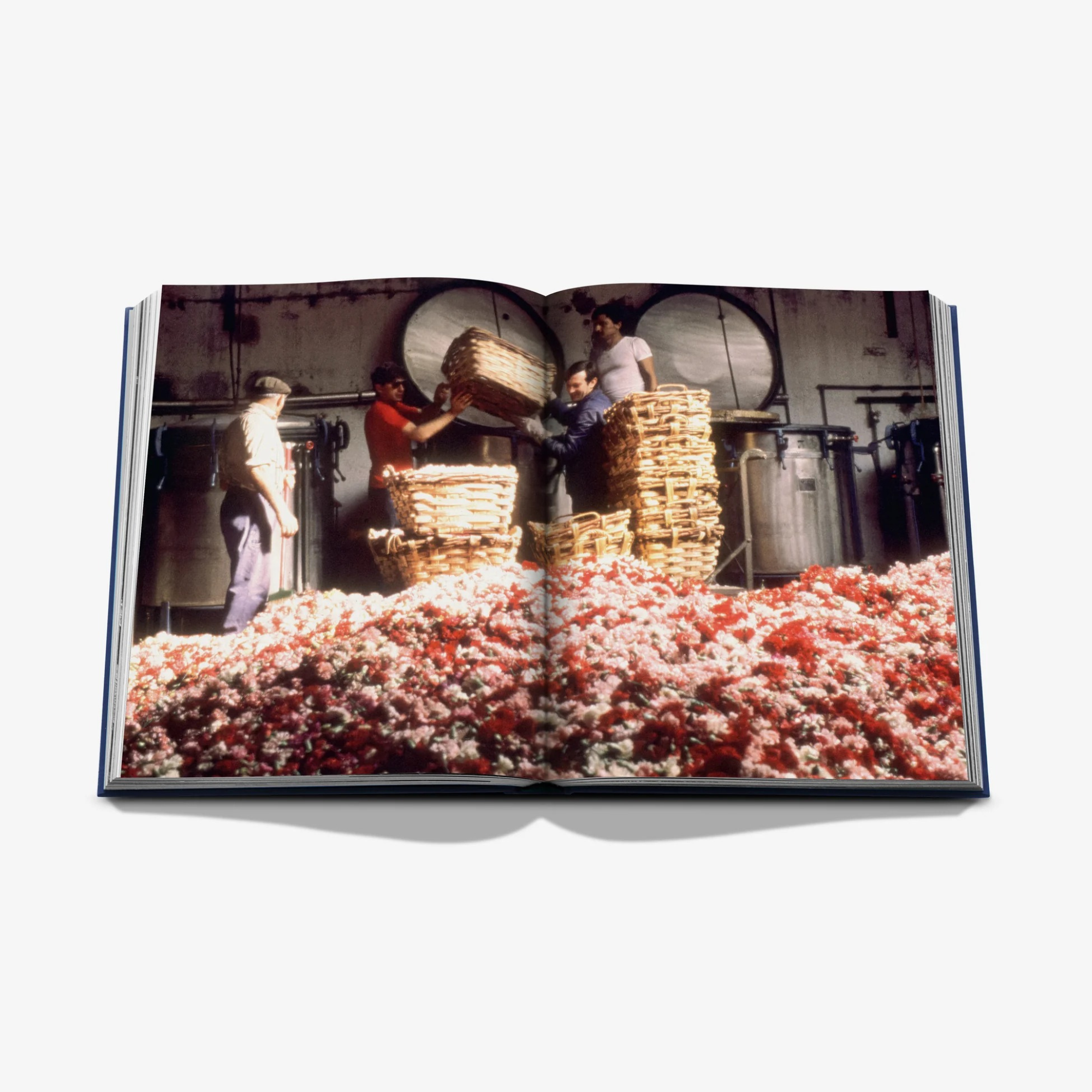 Robertet: From Seed to Scent