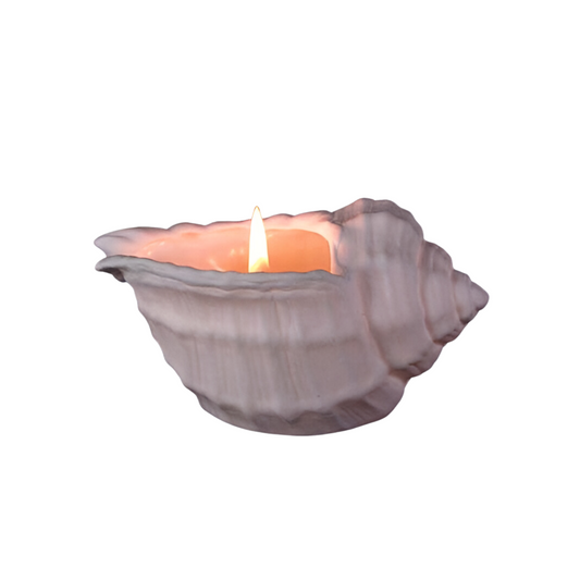 Murex Porcelain Tealight