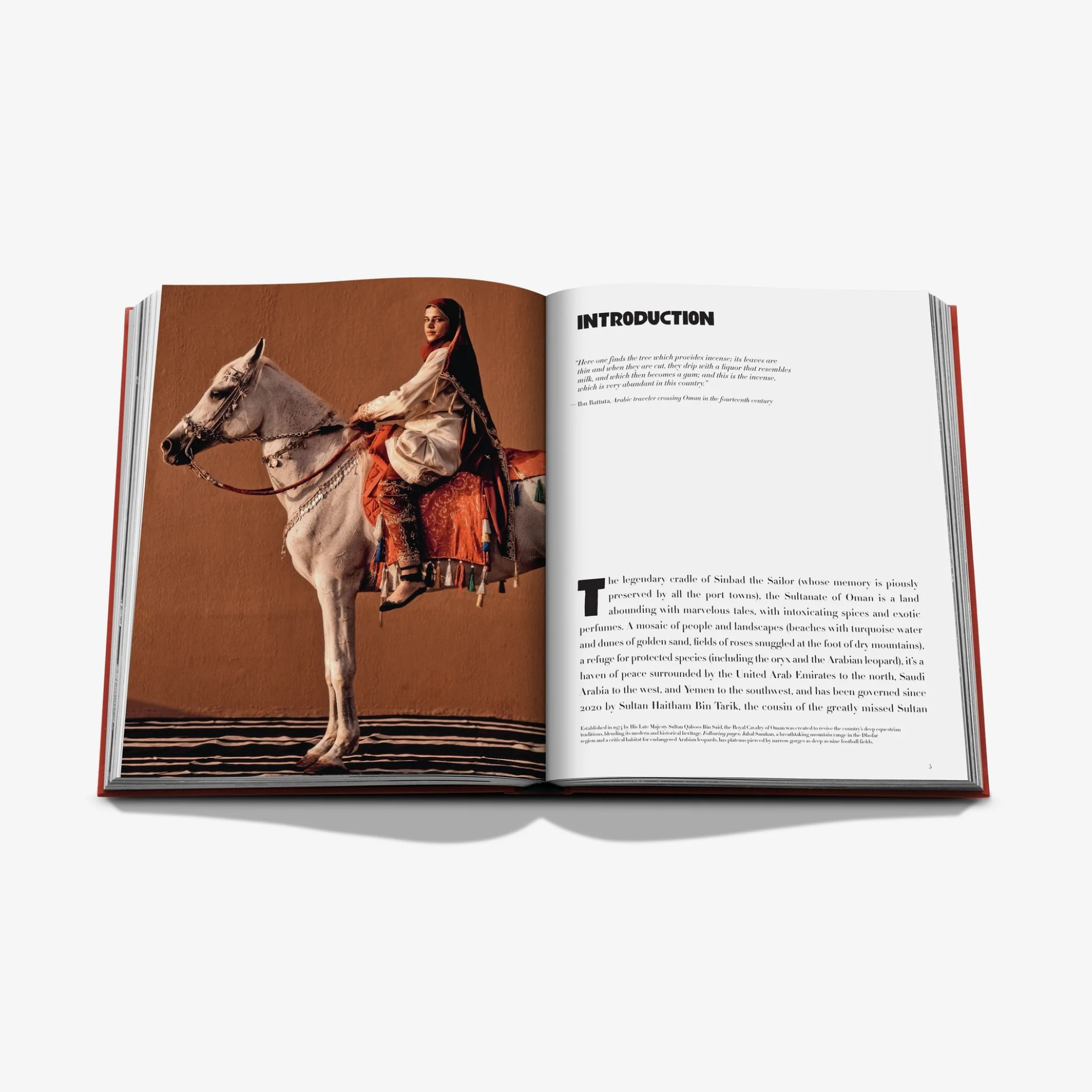 Oman Odyssey