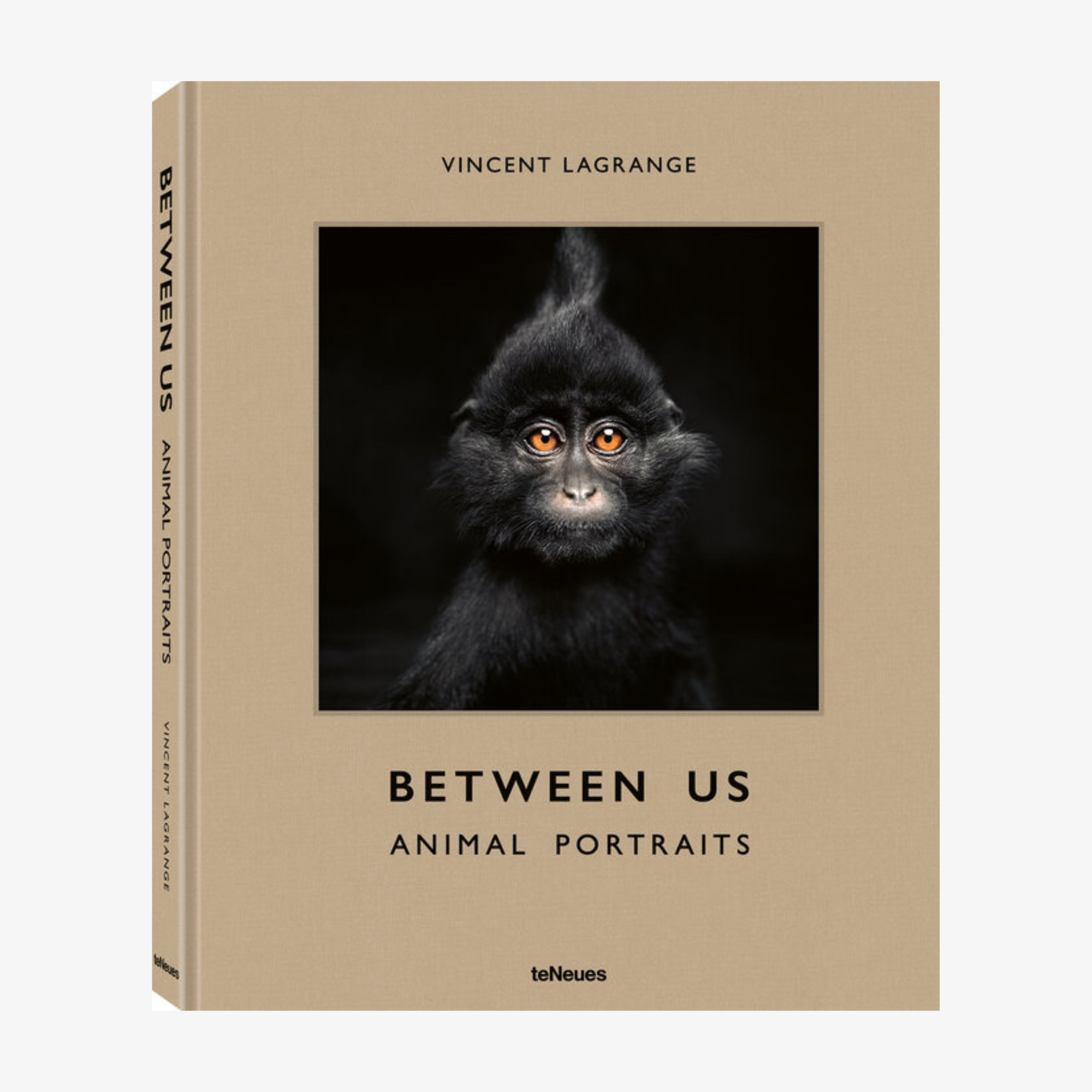 Between Us: Animal Portraits