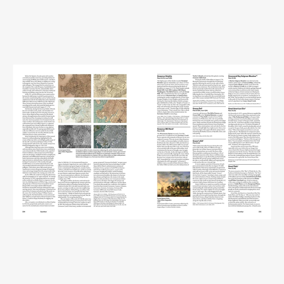 Before New York: The Natural Geography of the City: An Atlas and Gazetteer