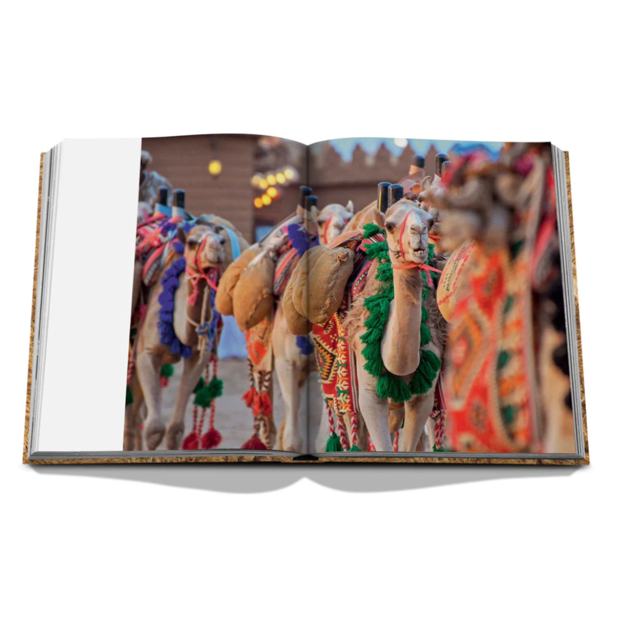 Camels from Saudi Arabia: Kingdom of Saudi Arabia Series, Ultimate Edition