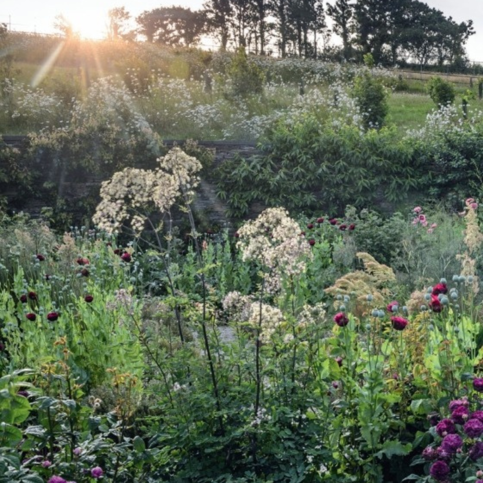 Gardens Illustrated: The New Beautiful: Inspiring Gardens for a Resilient Future