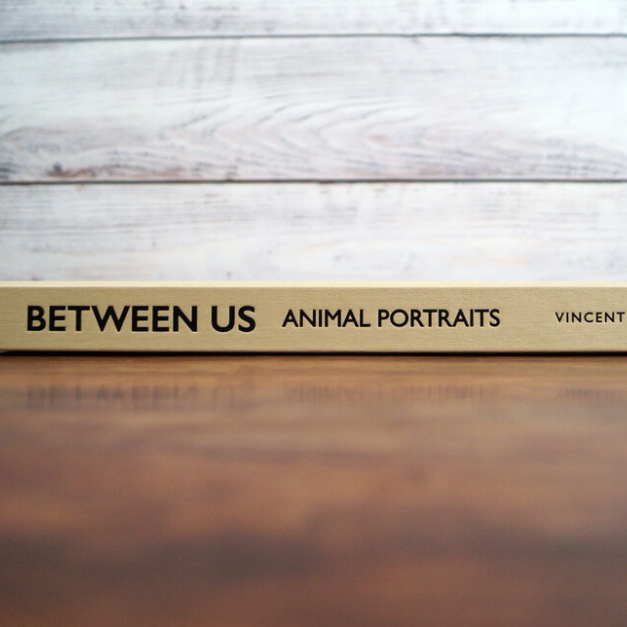 Between Us: Animal Portraits