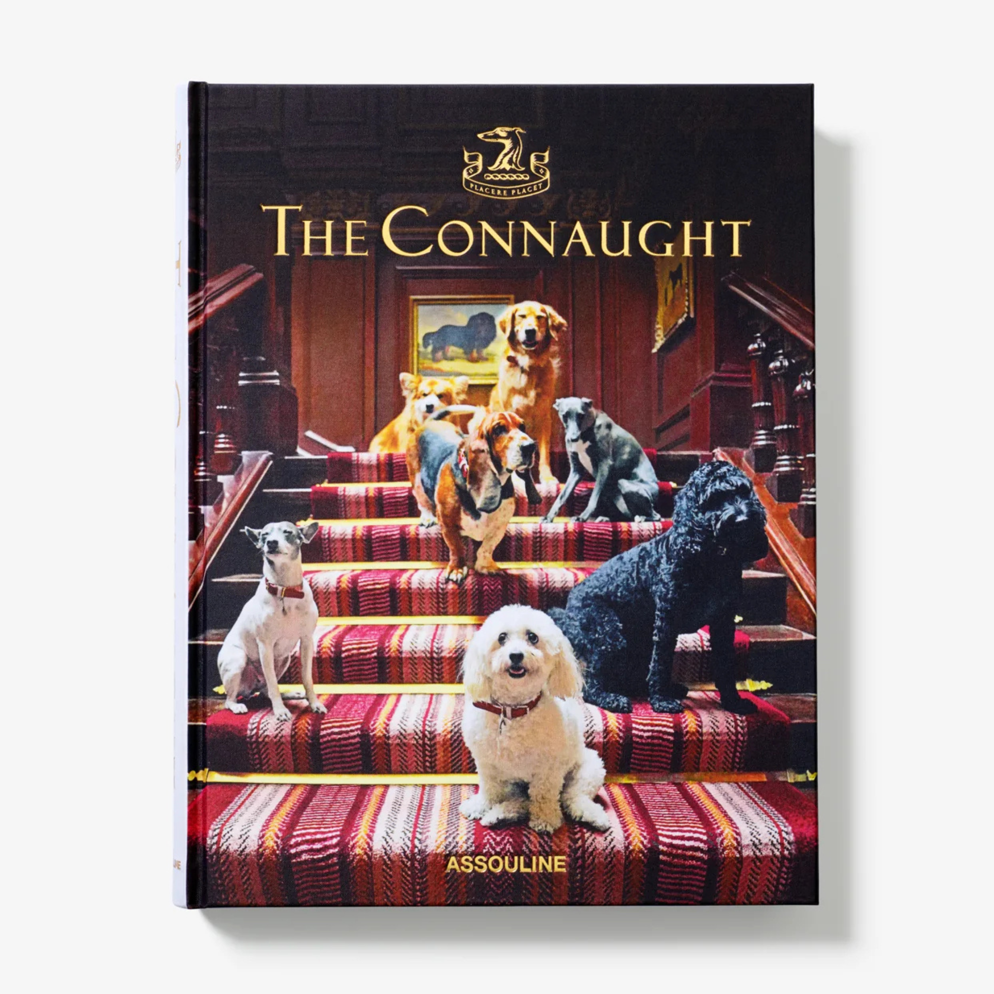 The Connaught