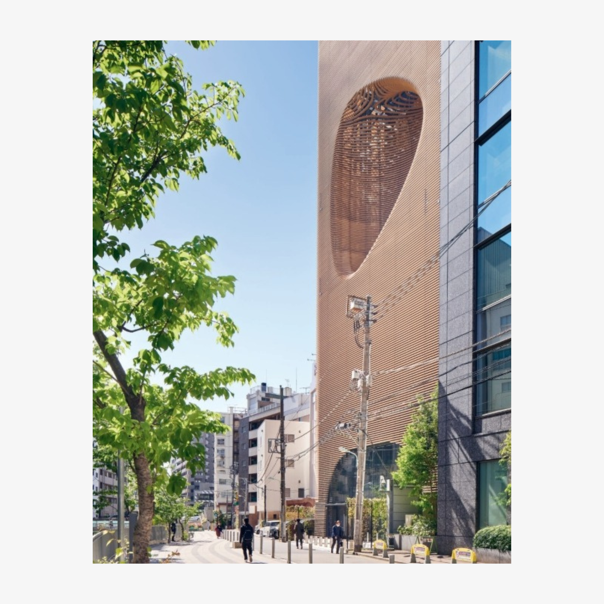 Koichi Takada: Naturalizing Architecture