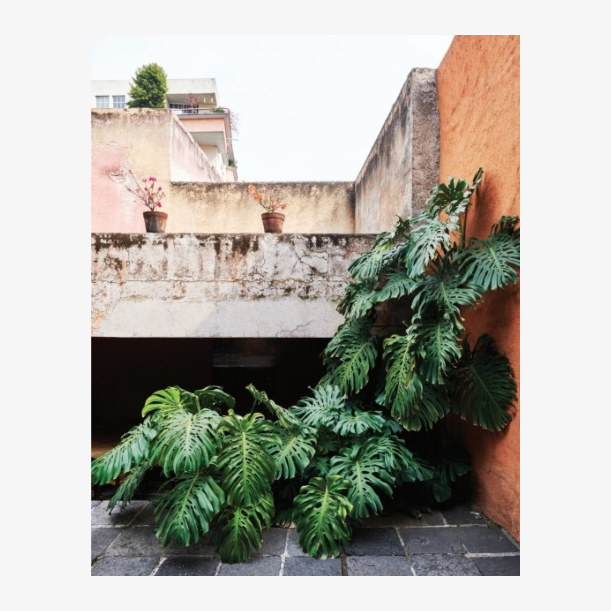 Mexico Modern: Architecture and Interiors