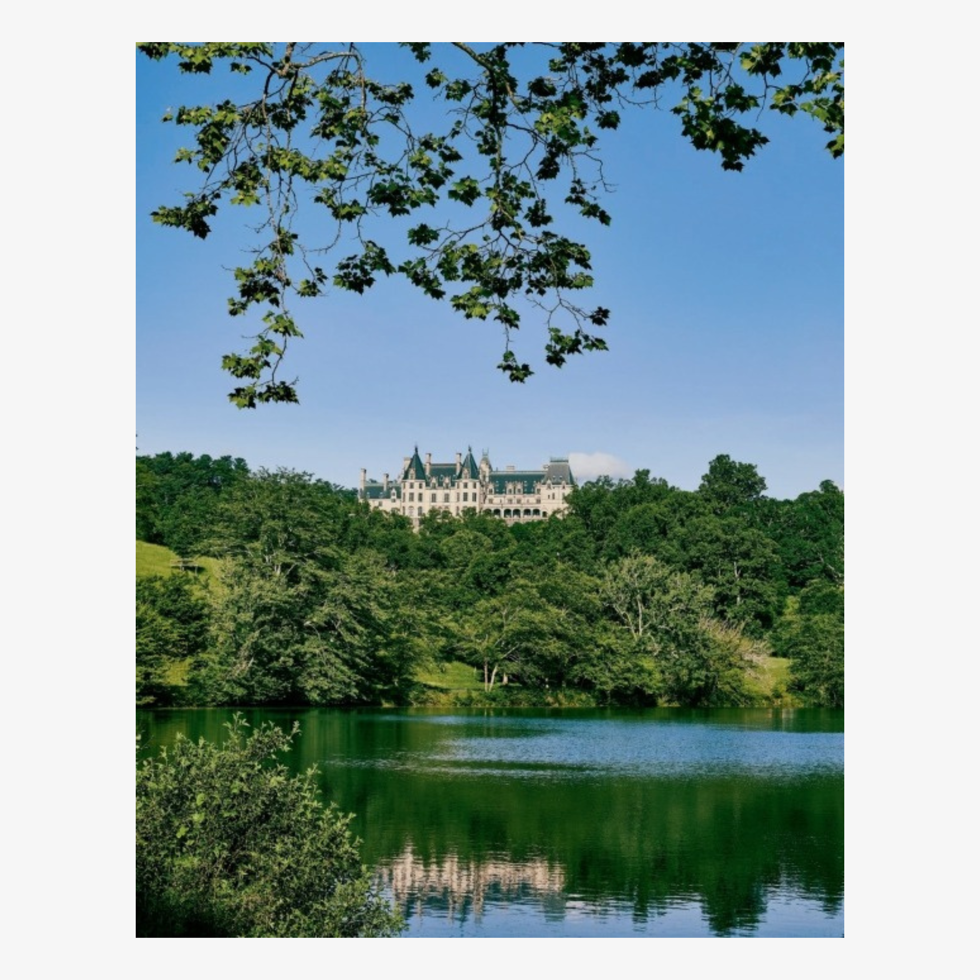 Biltmore House: The Interiors and Collections of George W. Vanderbilt