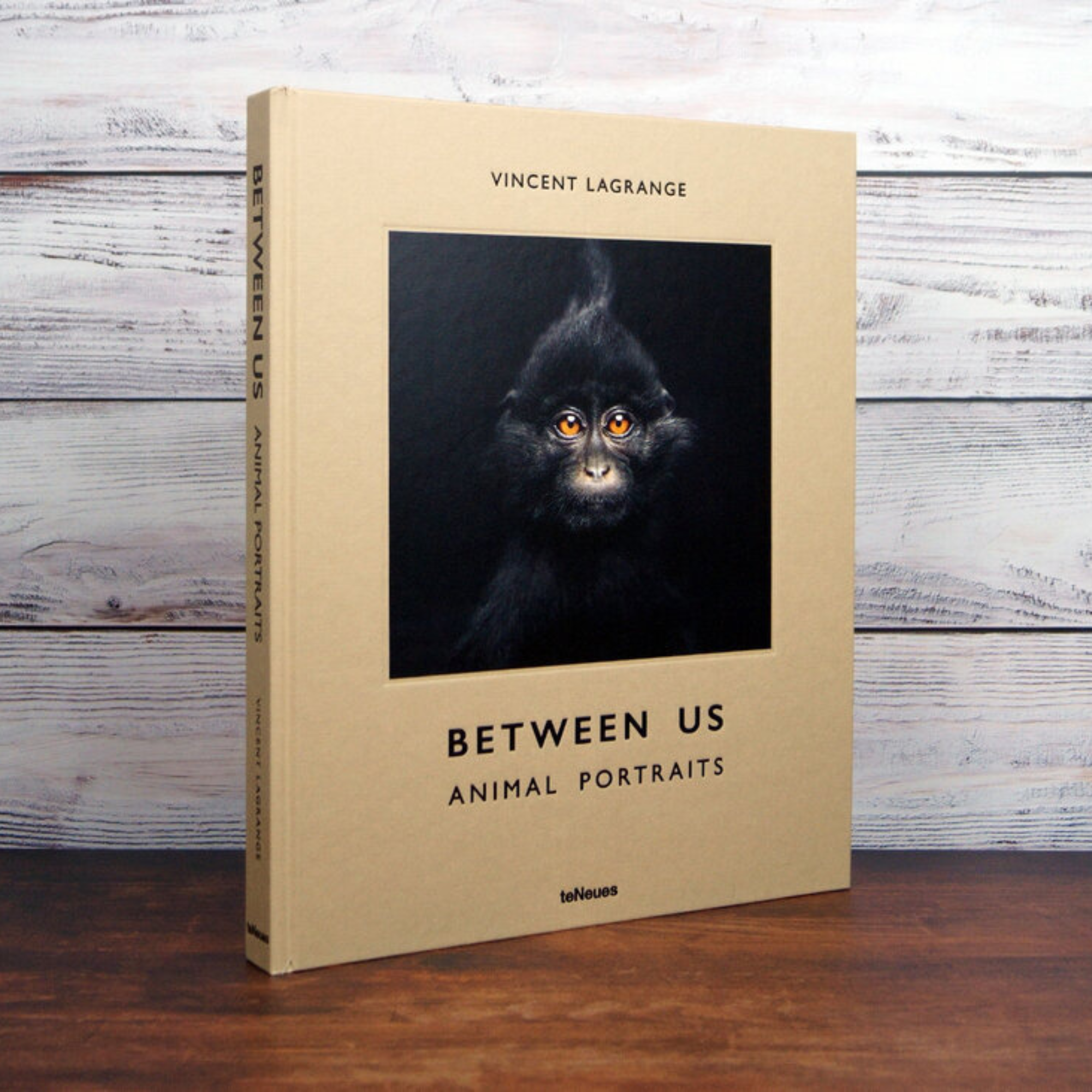 Between Us: Animal Portraits