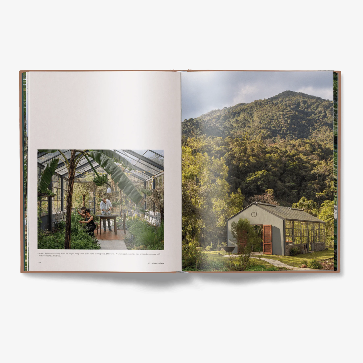 Brazil Living: The Residences and Interiors of New Tropicalism