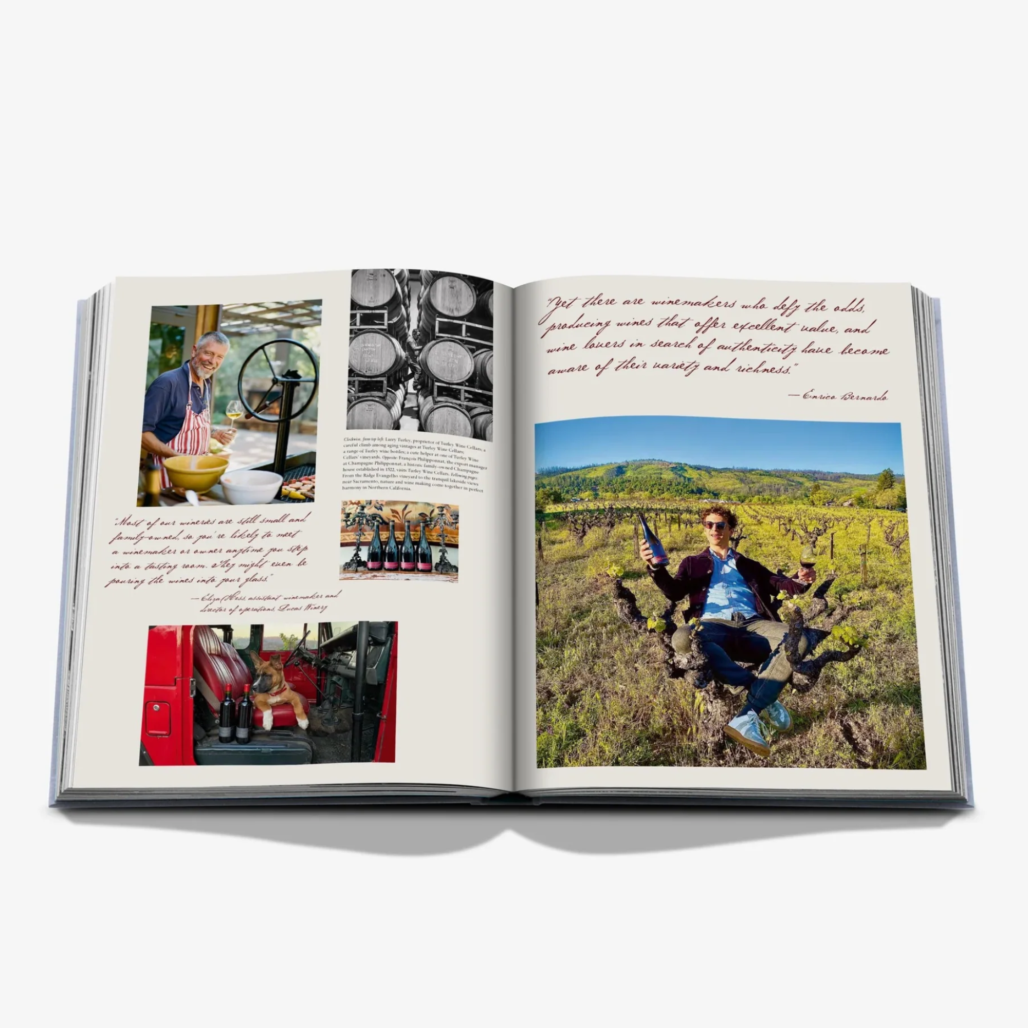 Wine & Travel Complete Collection Gift Set