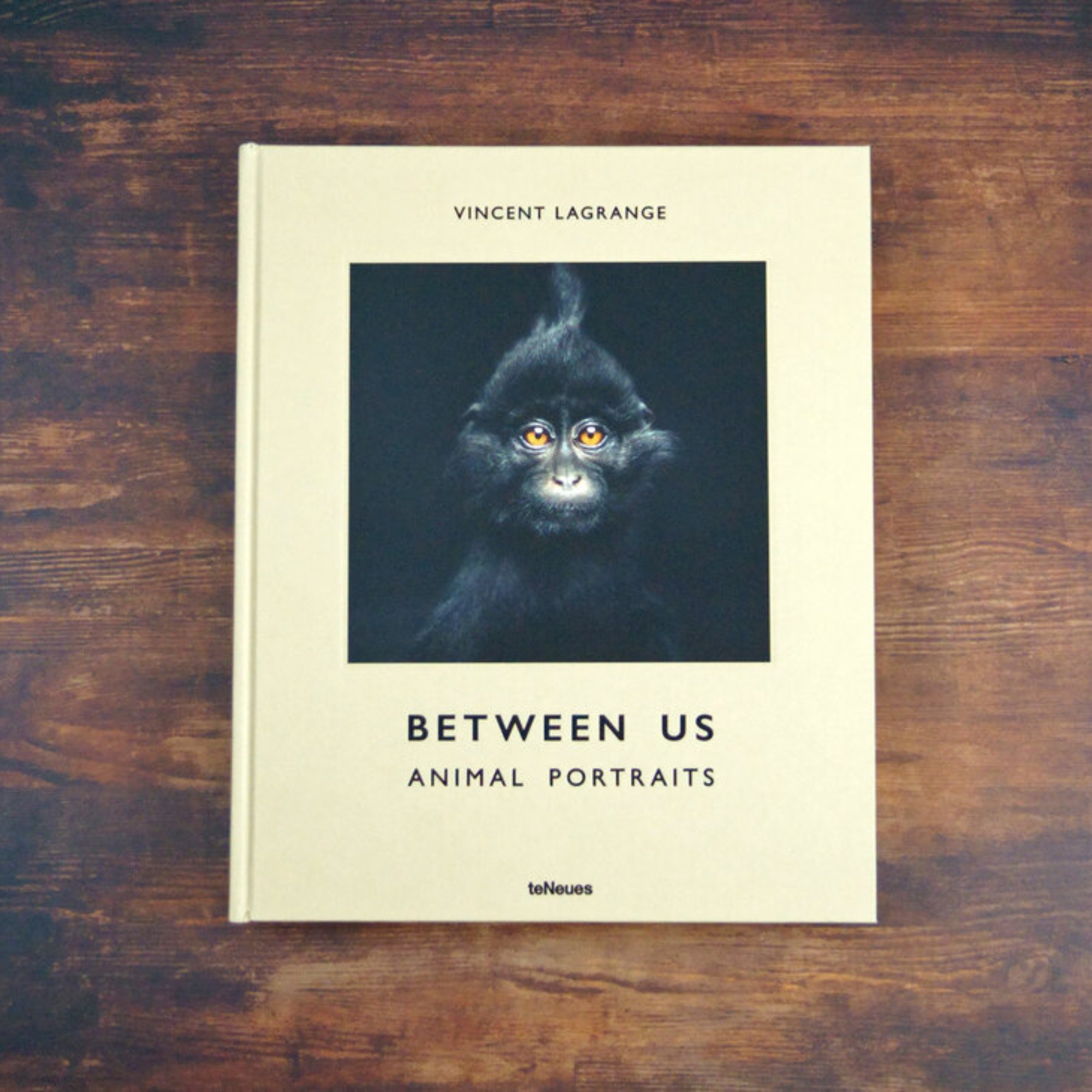 Between Us: Animal Portraits