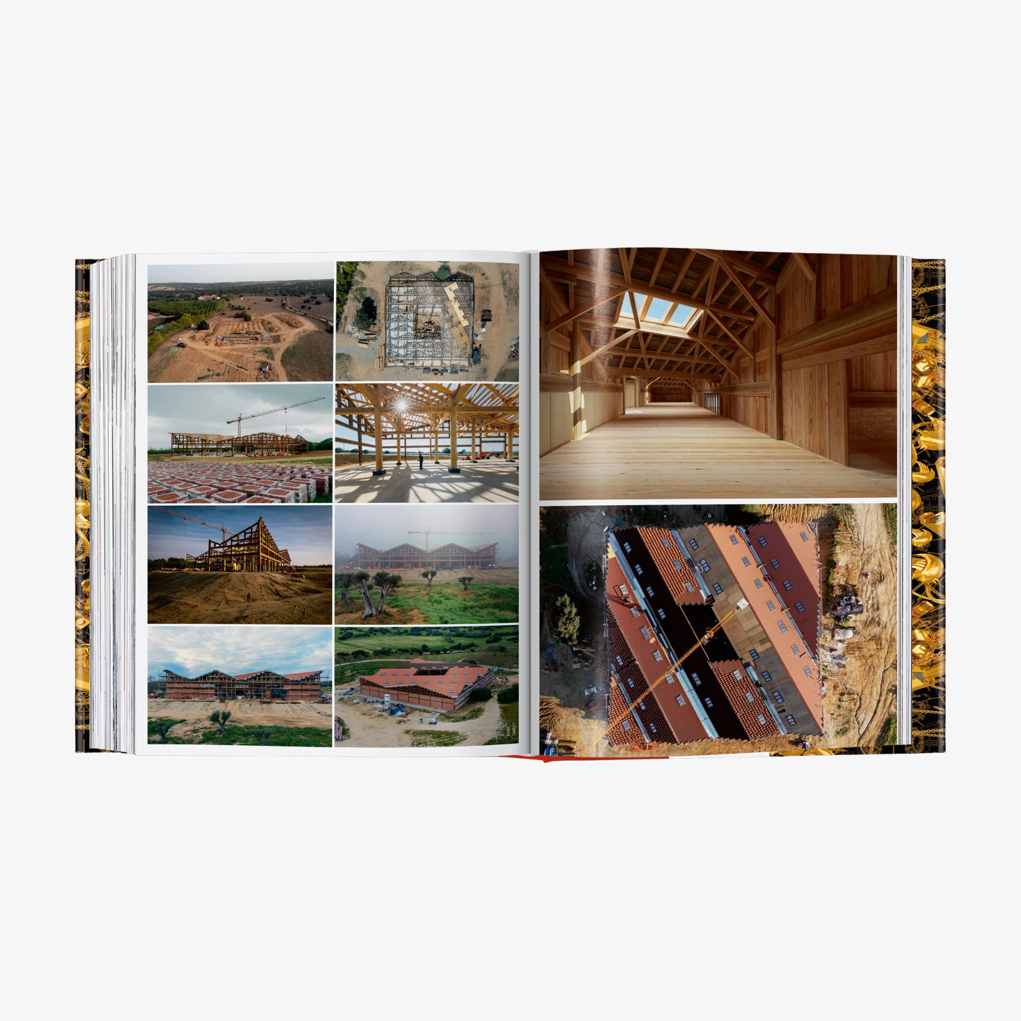 Ai Weiwei. Updated Edition