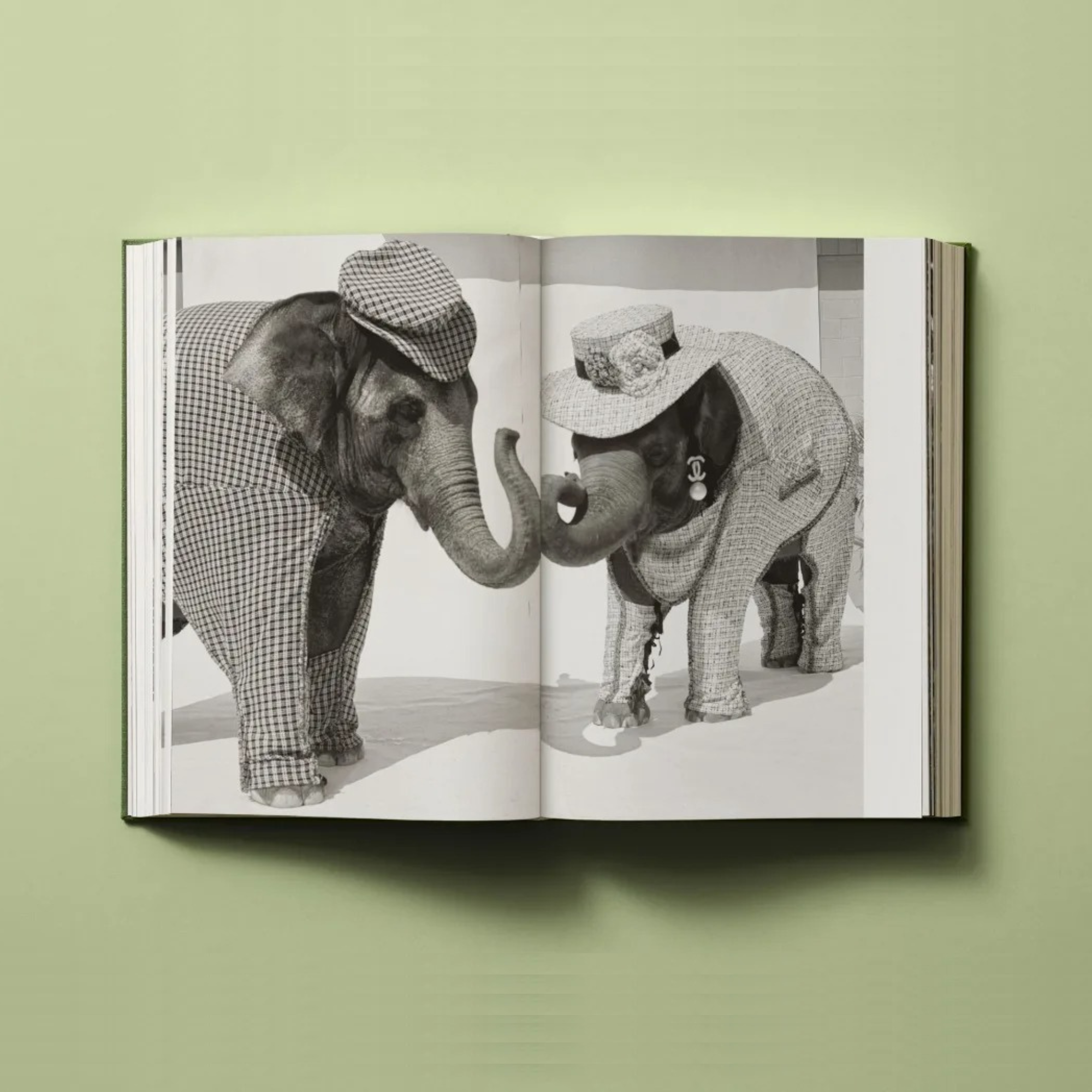 Bruce Weber: My Education