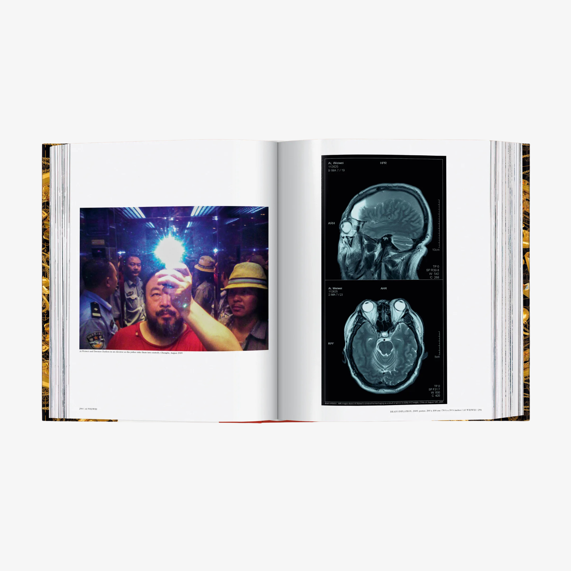 Ai Weiwei. Updated Edition