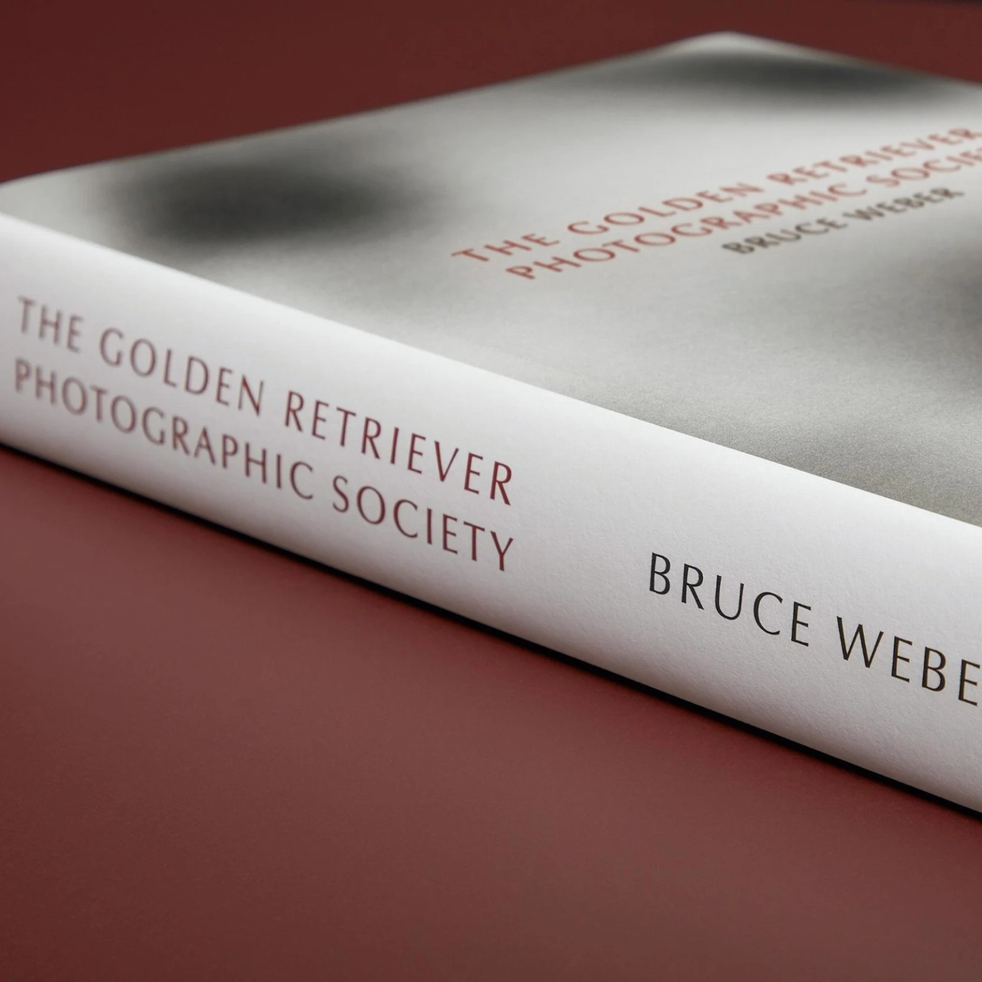 Bruce Weber: The Golden Retriever Photographic Society