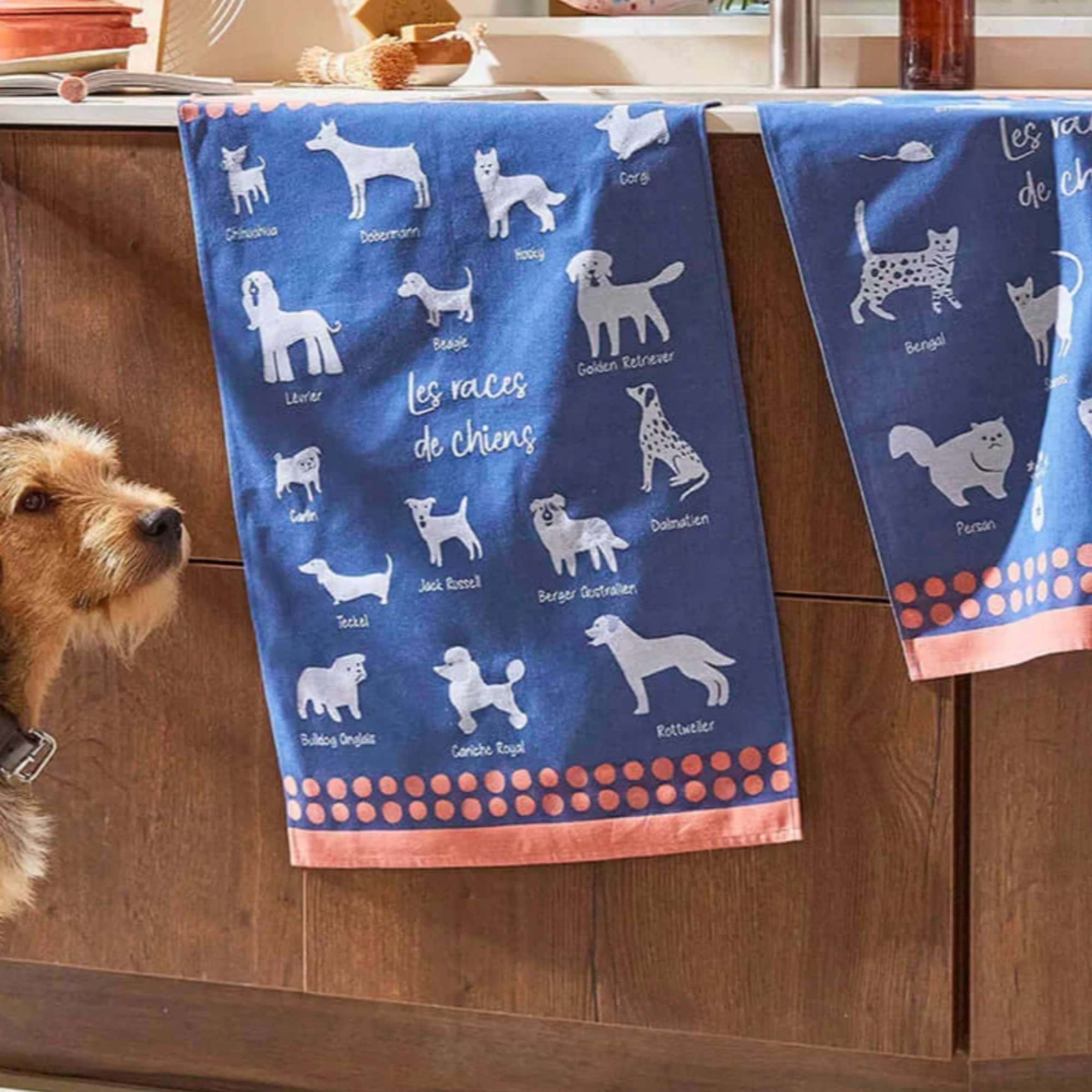 Coucke Dog Breeds Tea Towel - Set of 2