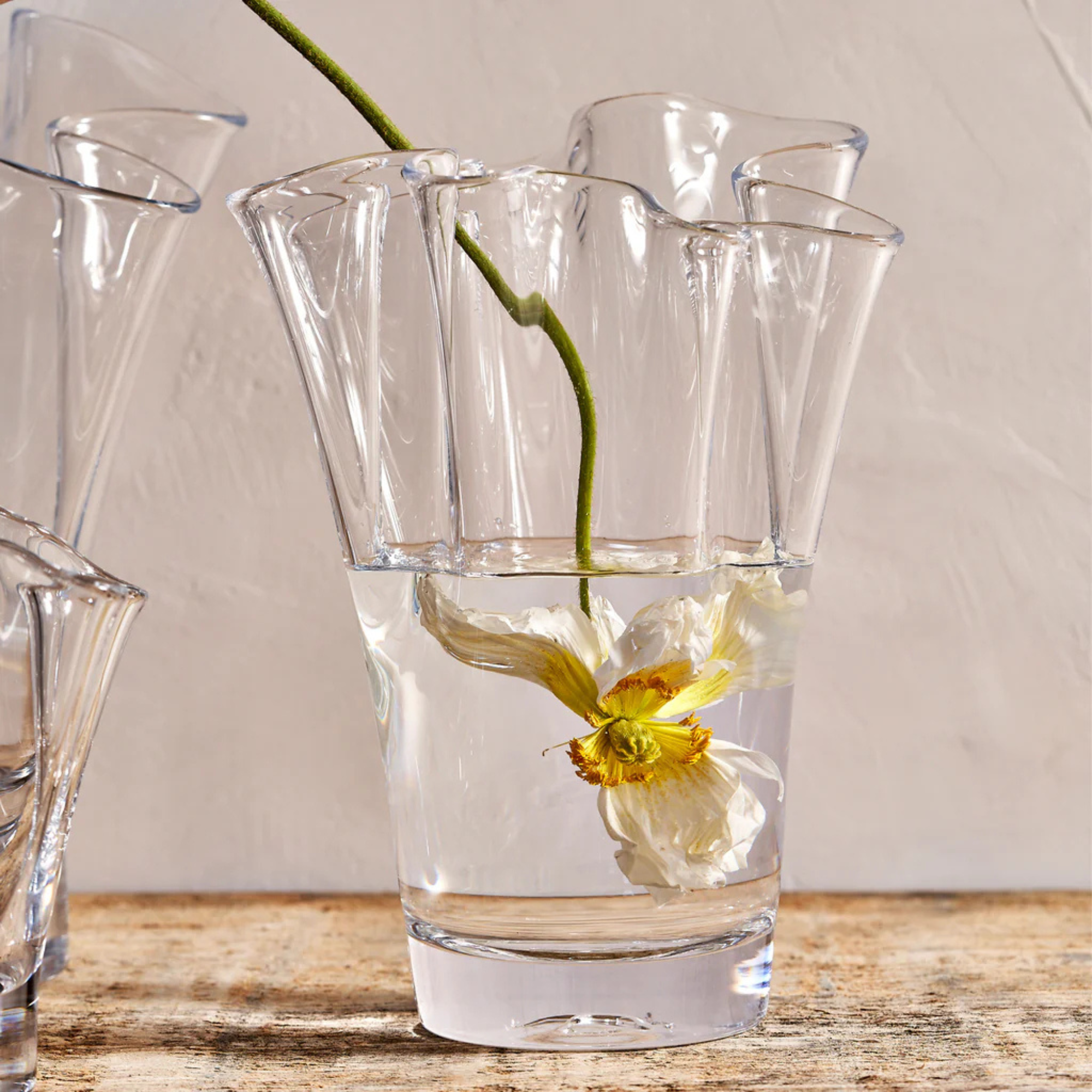 Anemone Vase - Large