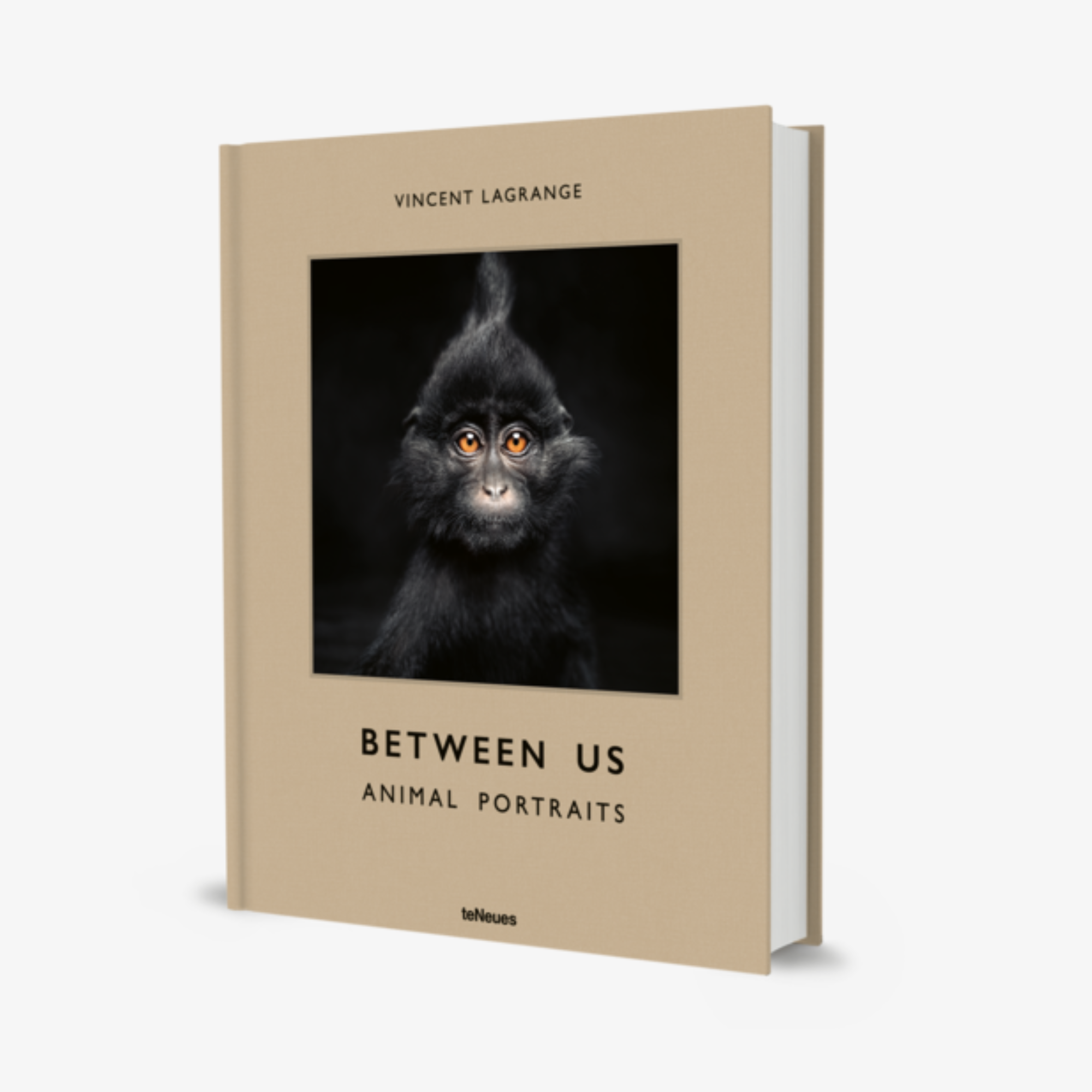 Between Us: Animal Portraits