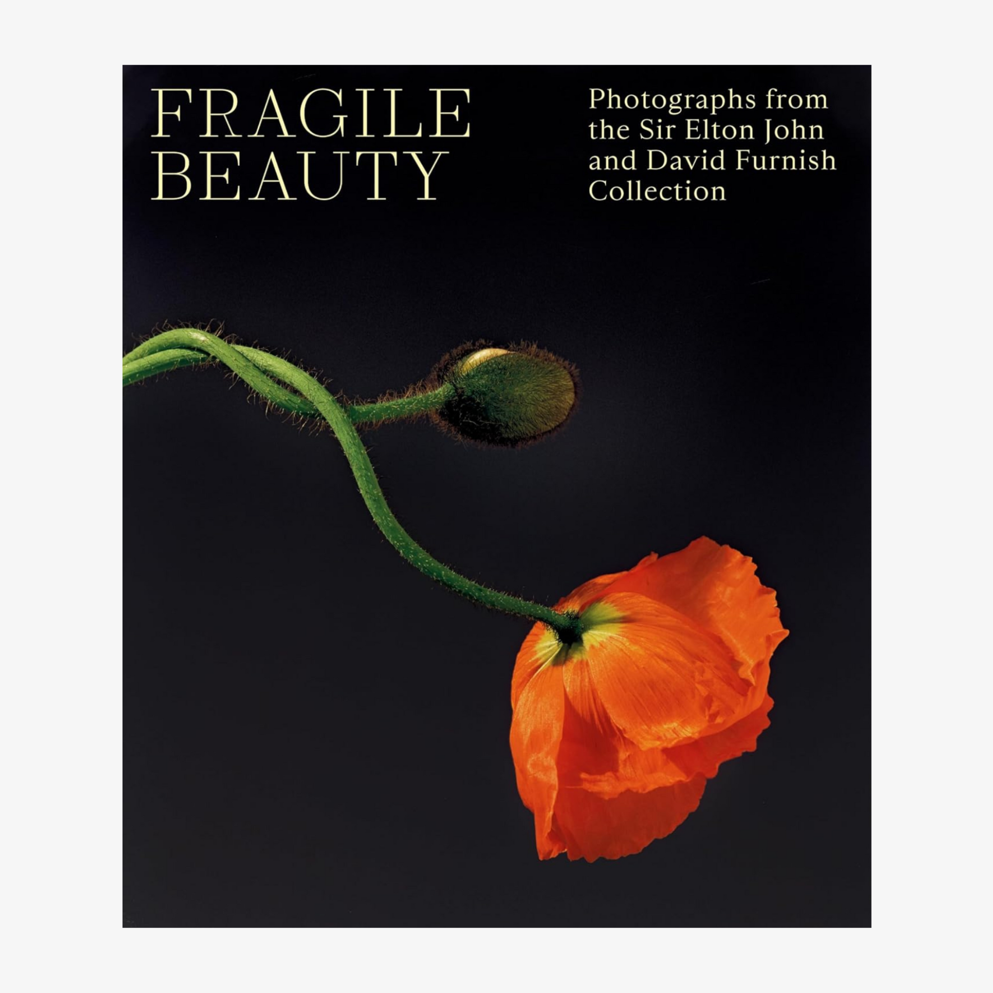 Fragile Beauty: Photographs from the Sir Elton John and David Furnish Collection