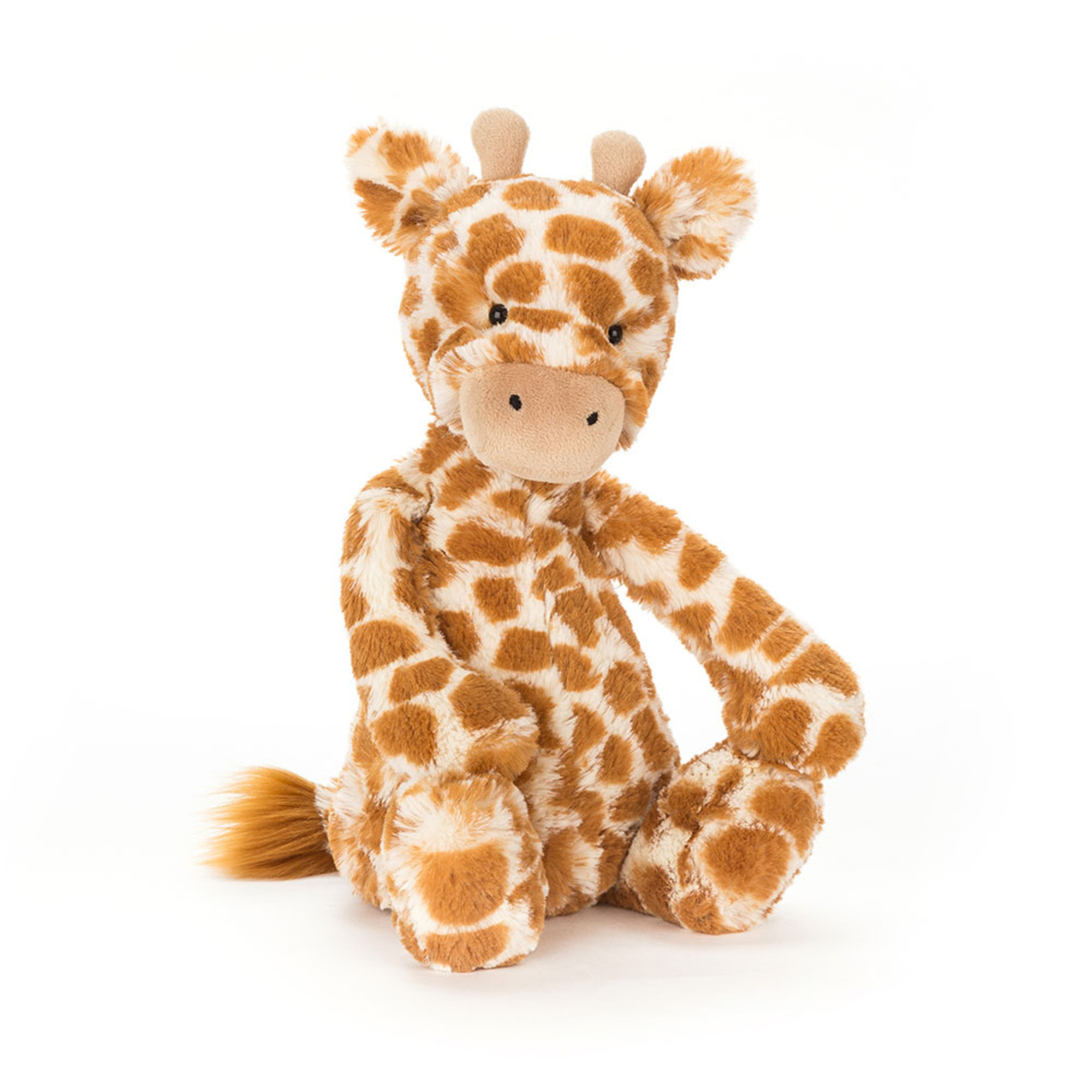 Bashful Giraffe and If I Were a Giraffe Board Book
