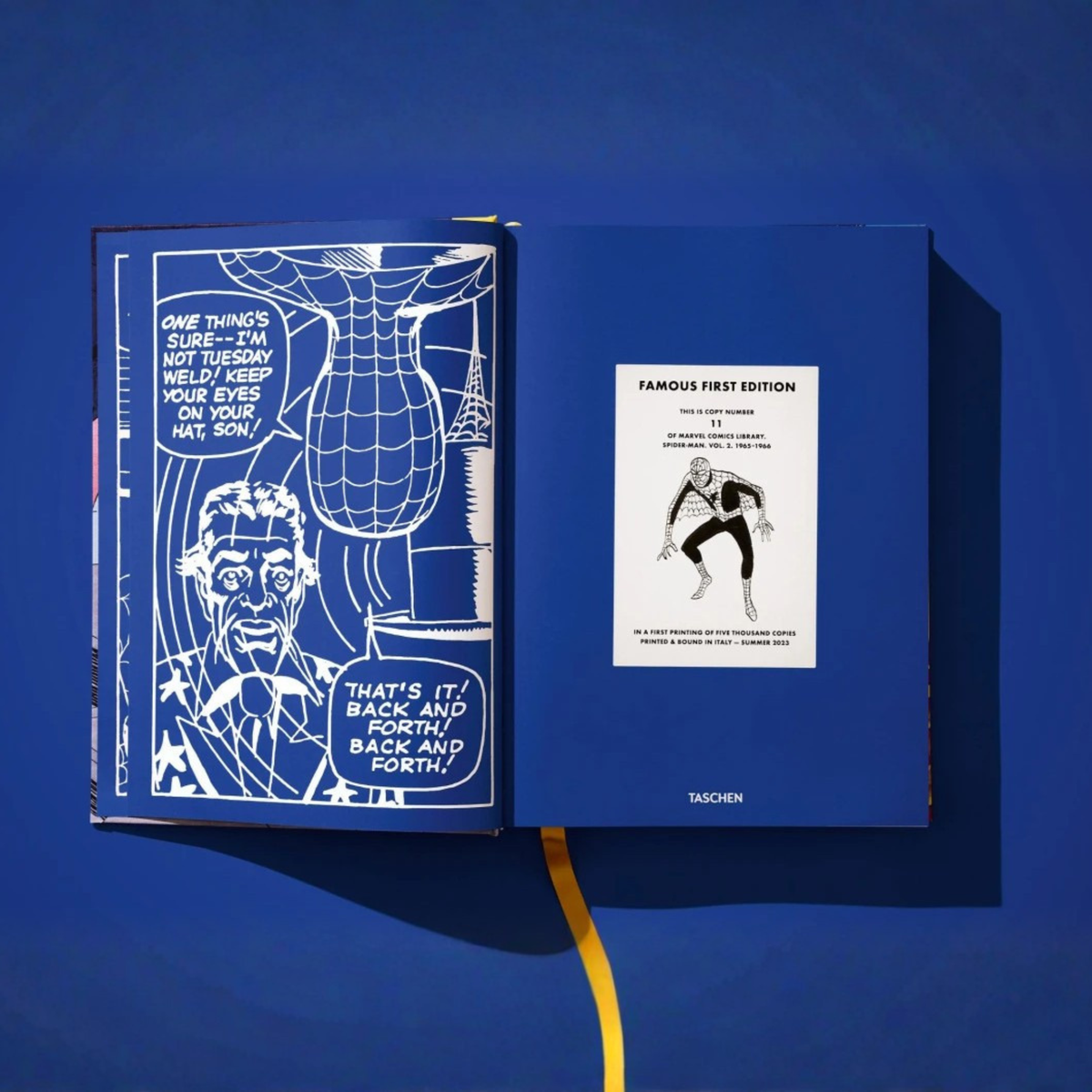 Marvel Comics Library. Spider-Man. Vol. 2. 1965–1966