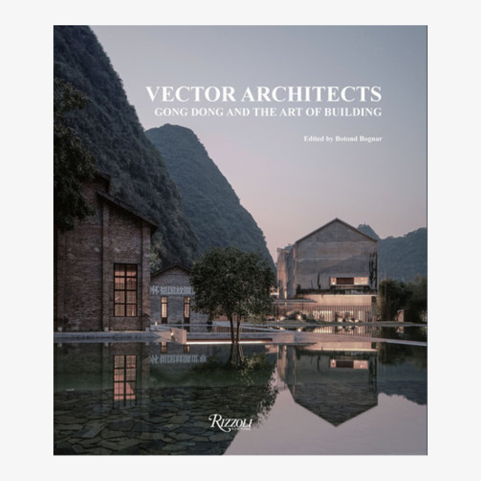 Vector Architects: Gong Dong and the Art of Building