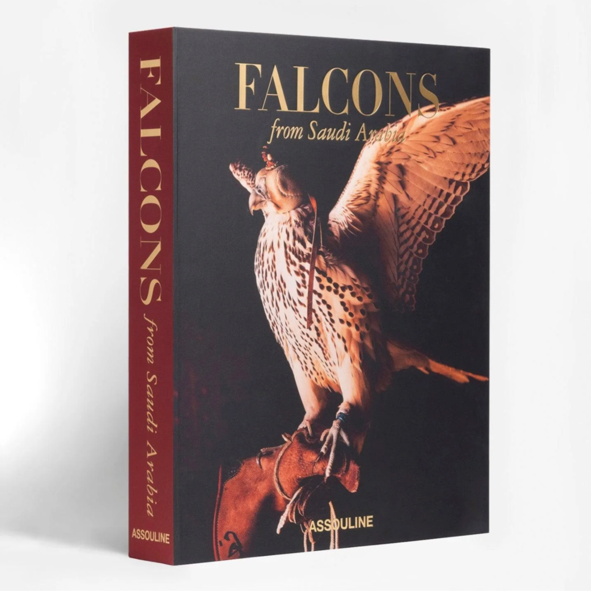 Falcons from Saudi Arabia: Kingdom of Saudi Arabia Series