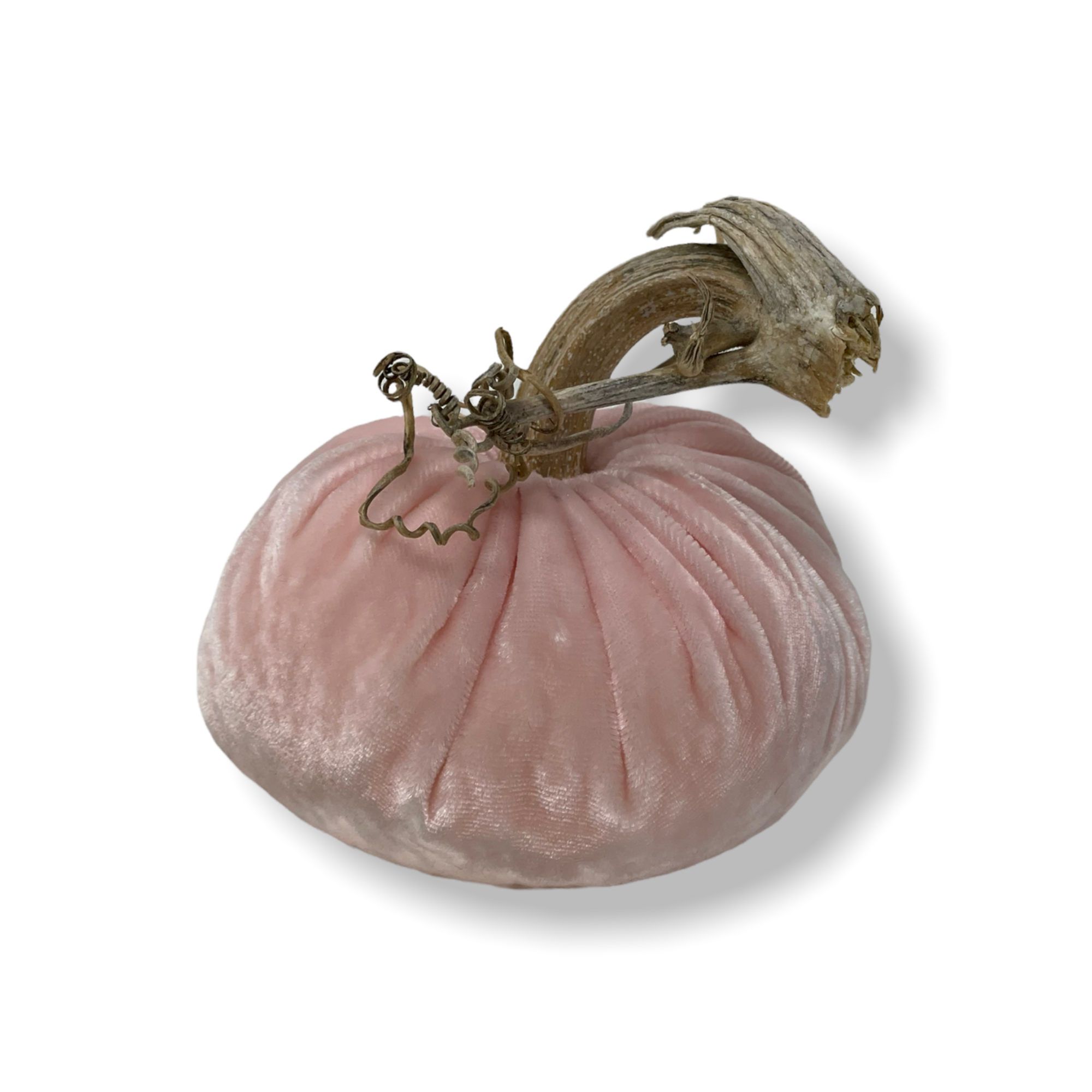 Velvet Pale Pink Pumpkin