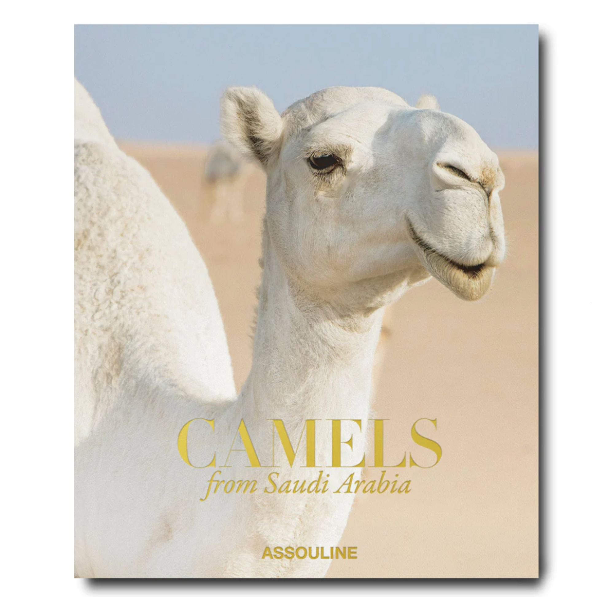 Camels from Saudi Arabia: Kingdom of Saudi Arabia Series, Ultimate Edition