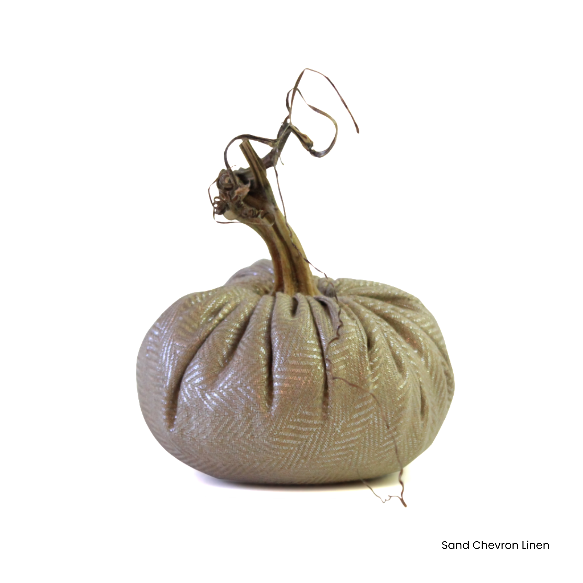 The Great Harvest Neutral Edition Pumpkin - Set of 11