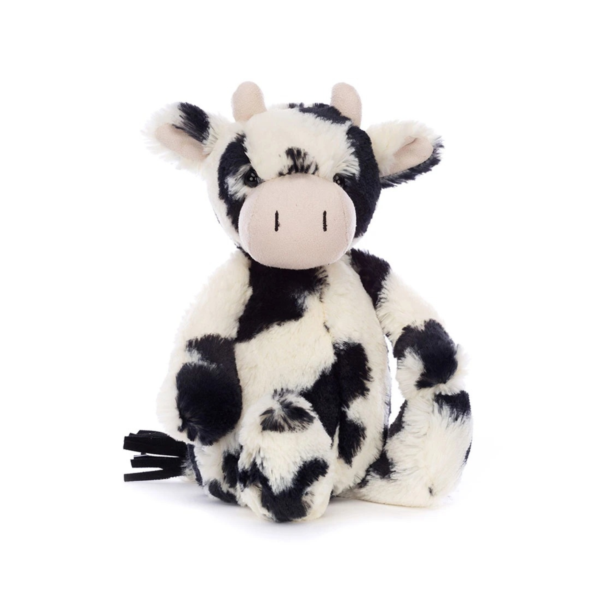 Bashful Calf