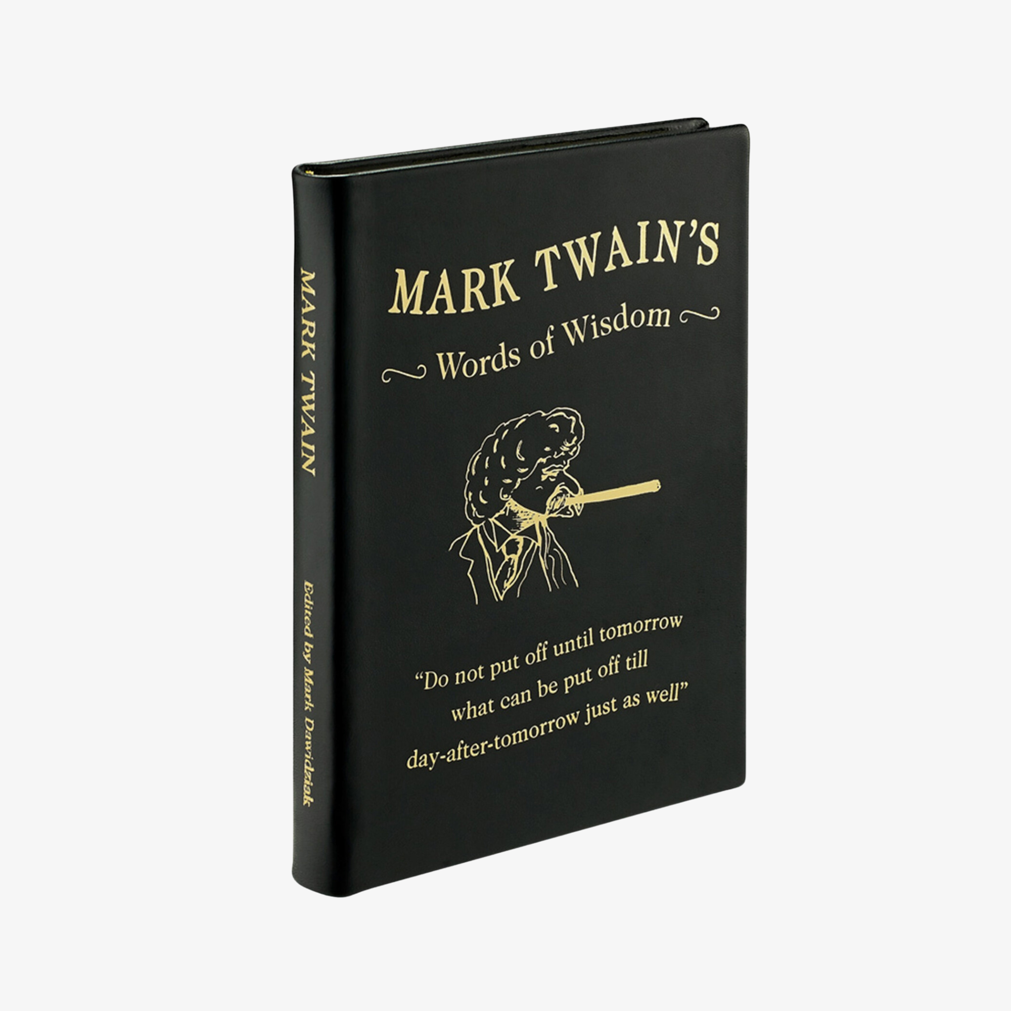 Mark Twain's Words of Wisdon