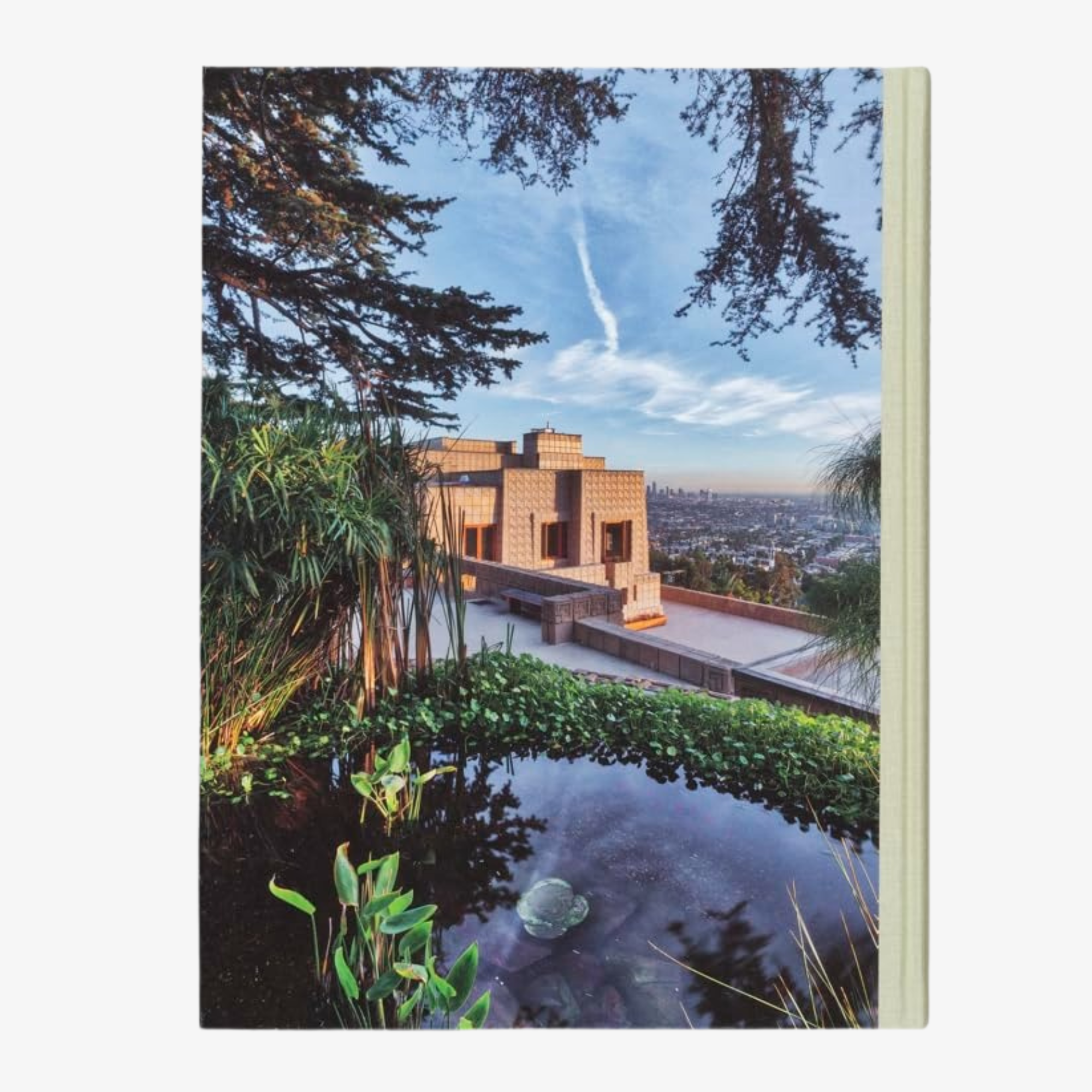 American Icons: The Architecture of the United States: Visions and Defiance