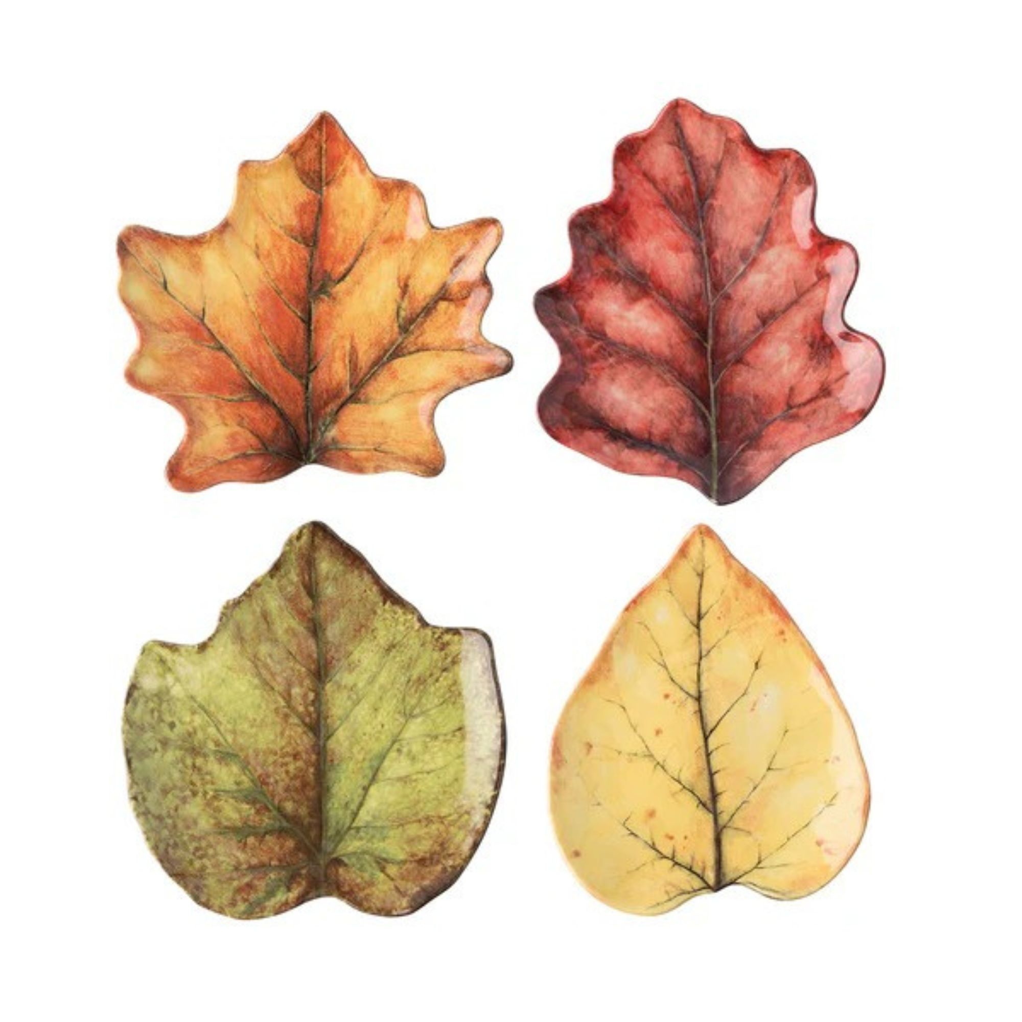 Forest Walk Leaf Plate Assorted - Set of 4