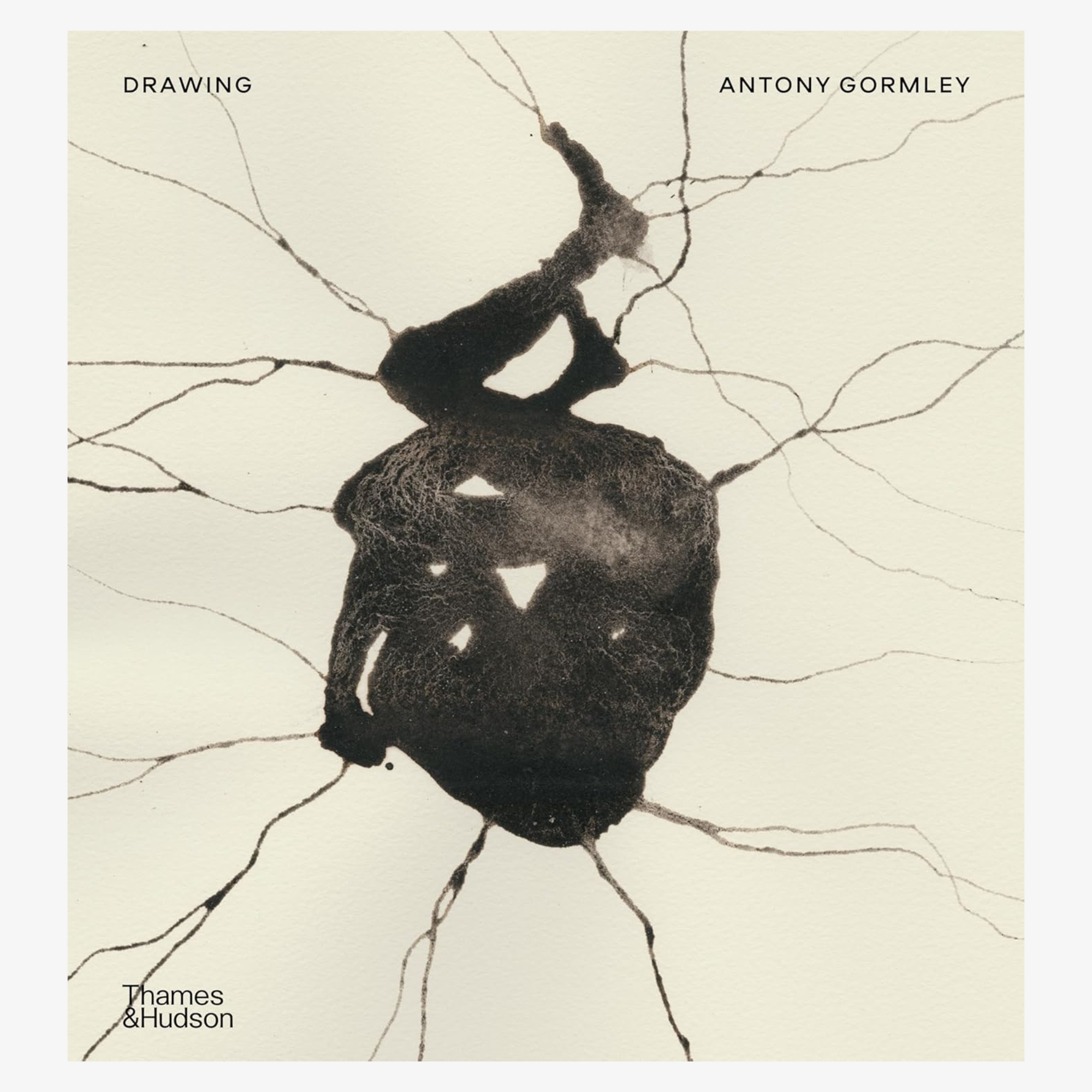 Drawing: Antony Gormley