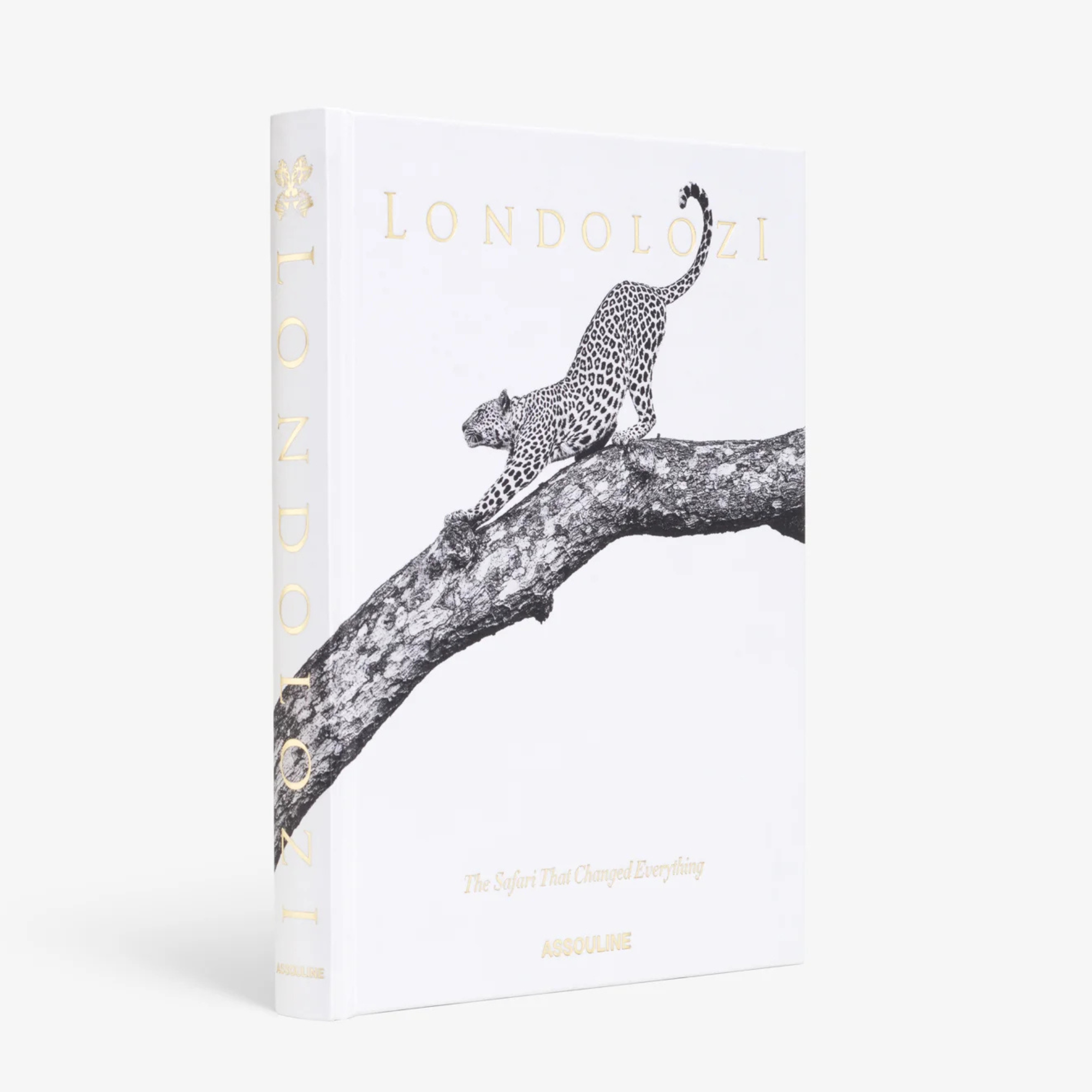 Londolozi: The Safari That Changed Everything