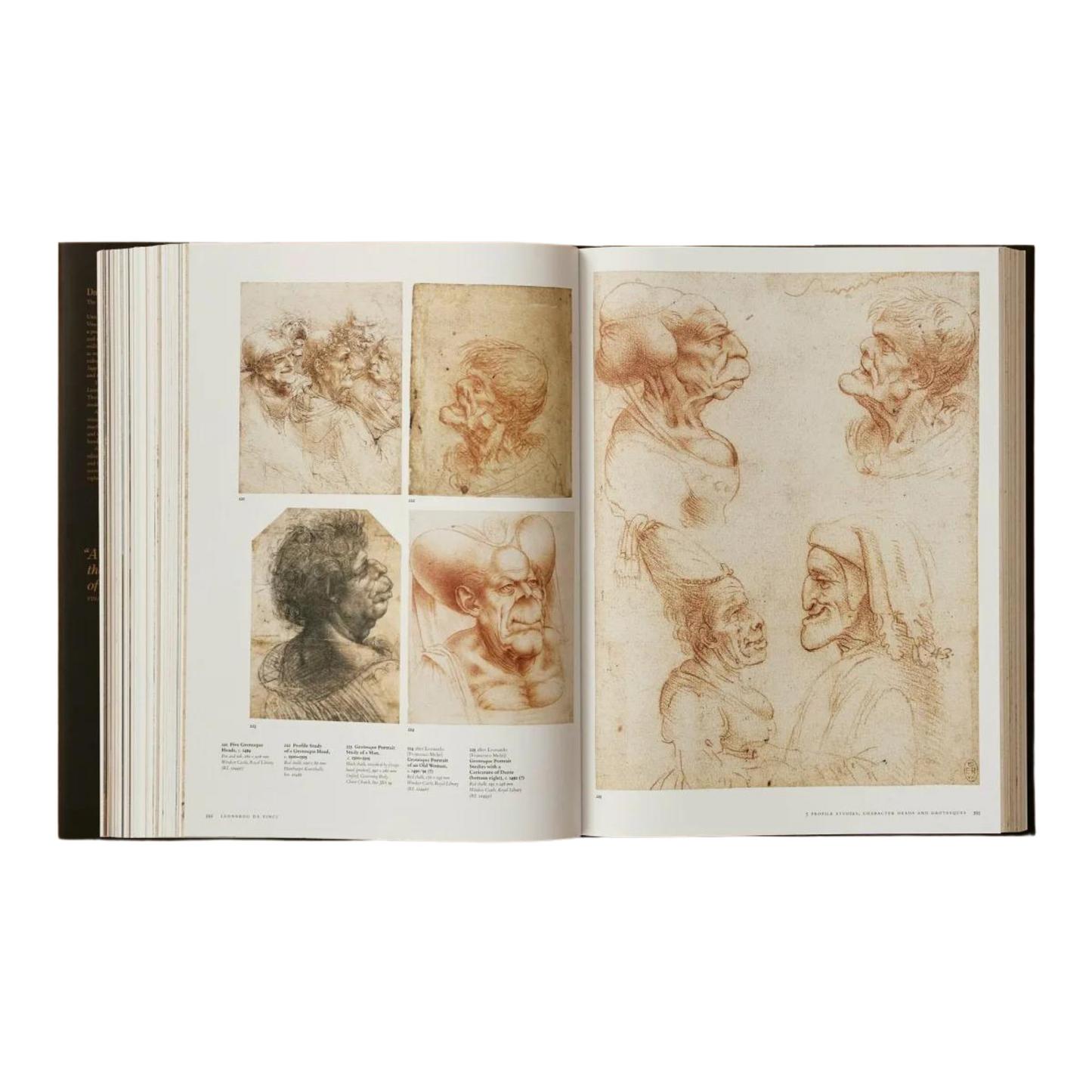 Leonardo.The Complete Paintings and Drawings