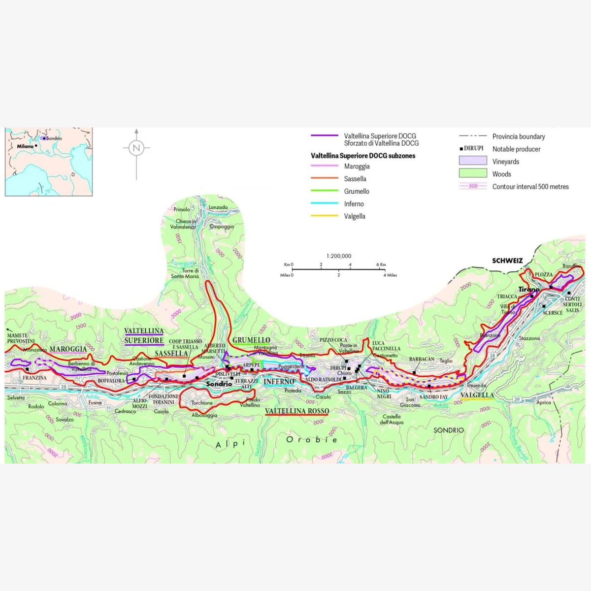 The World Atlas of Wine, 9th Edition