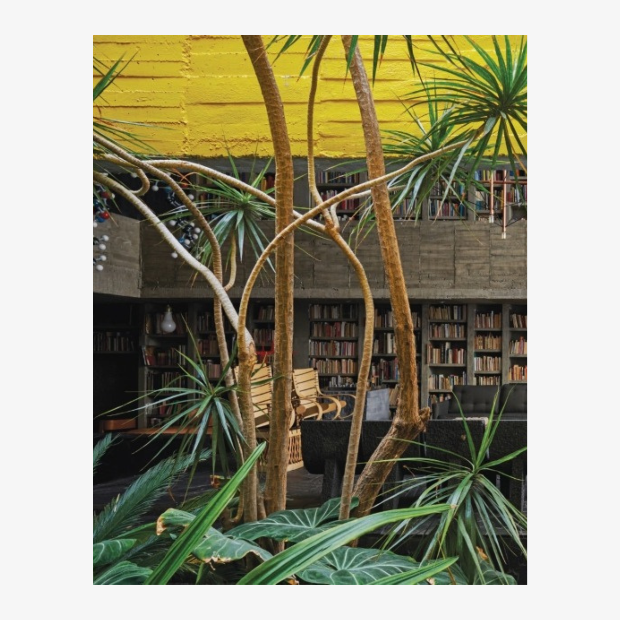 Mexico Modern: Architecture and Interiors