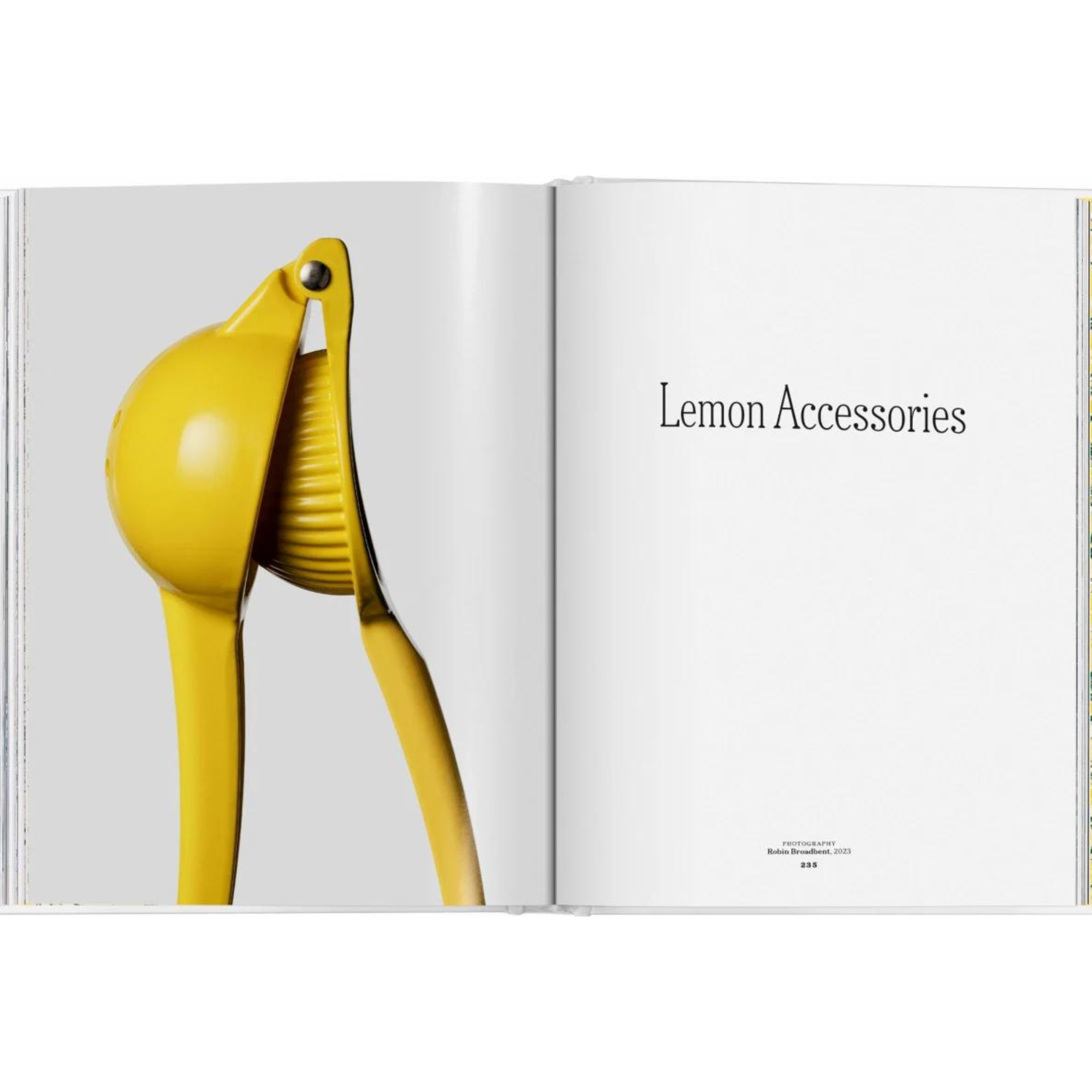 The Gourmand's Lemon. A Collection of Stories and Recipes