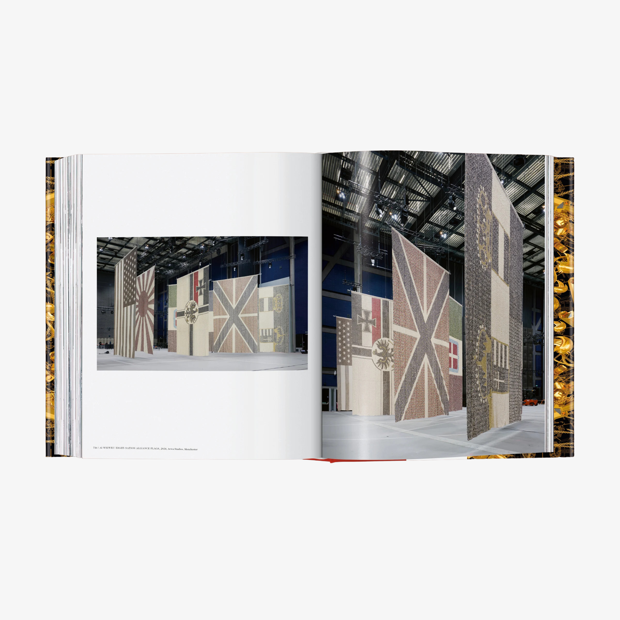 Ai Weiwei. Updated Edition