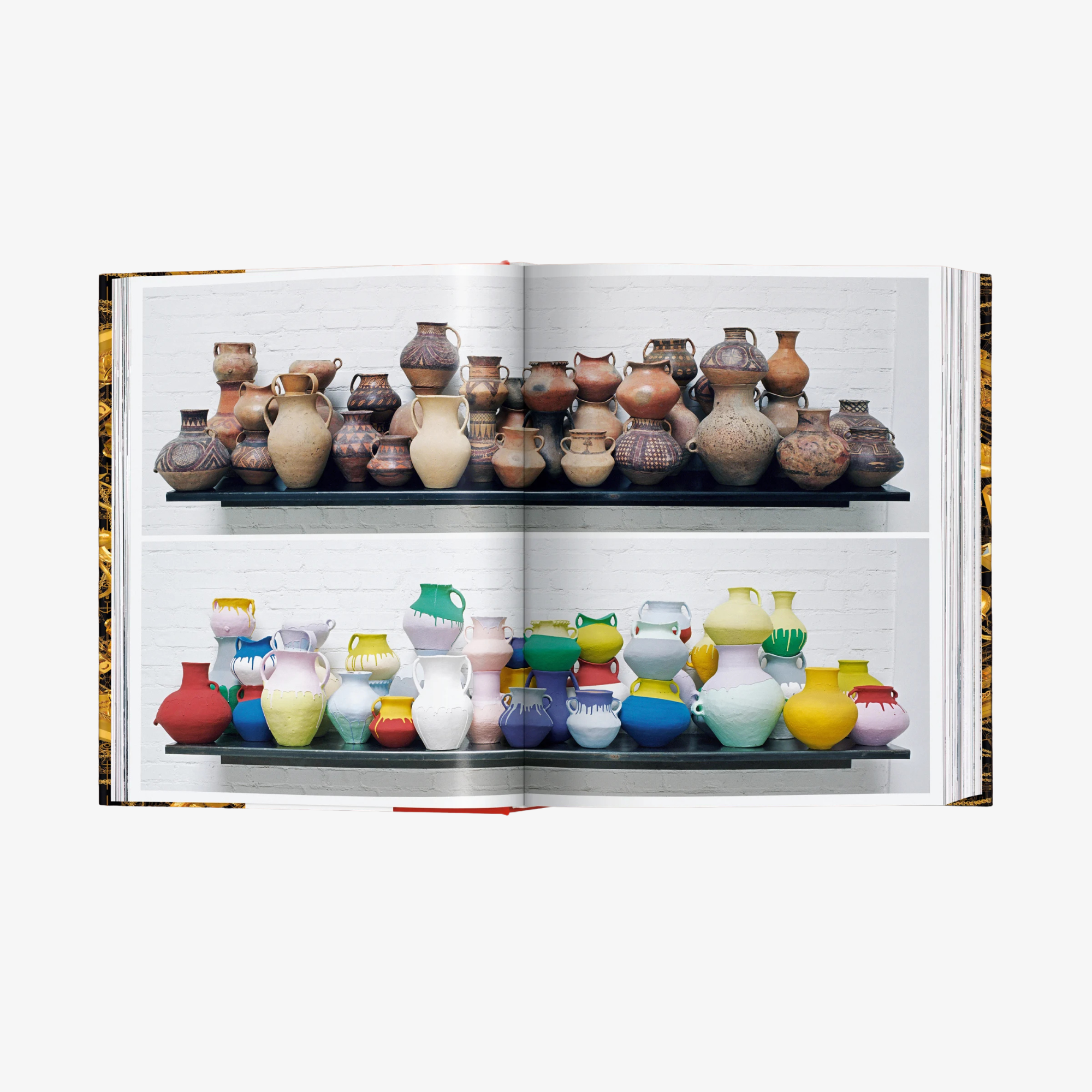 Ai Weiwei. Updated Edition