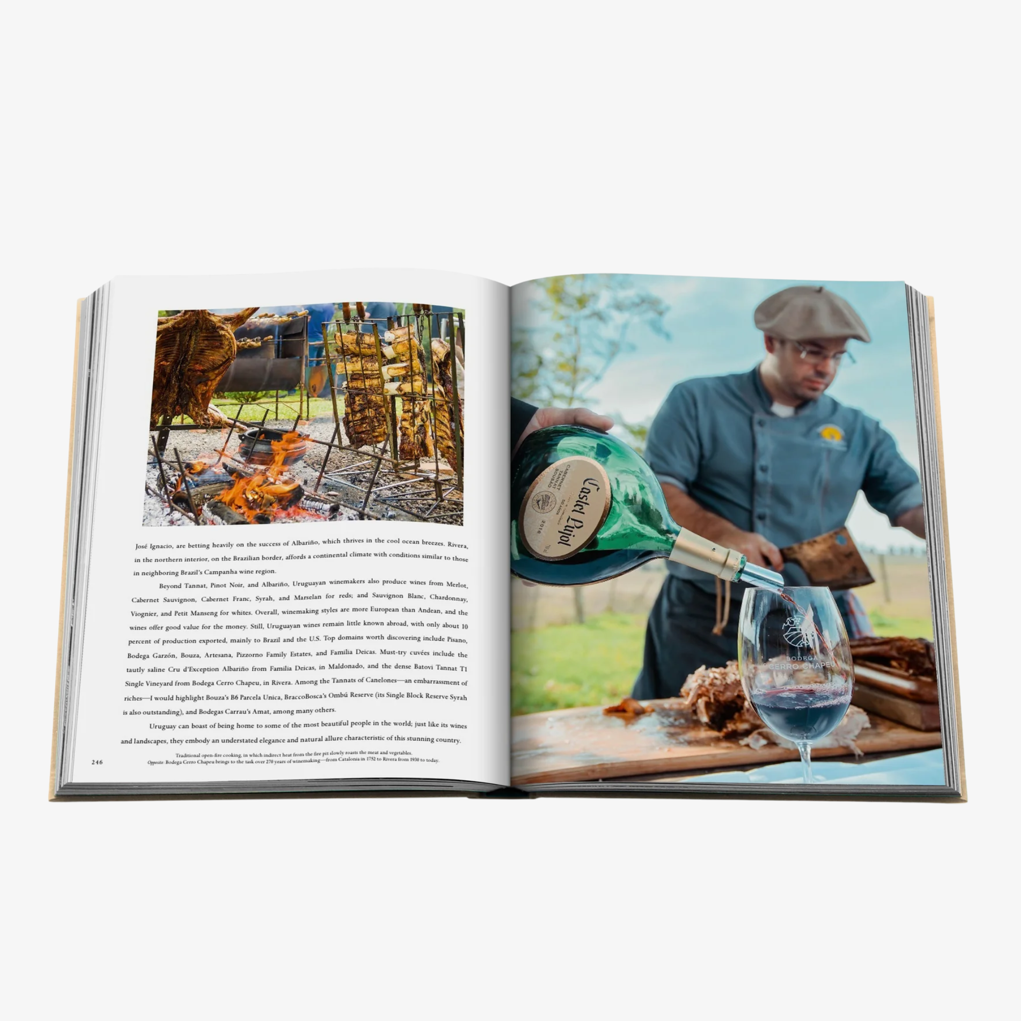 Wine & Travel: Latin America