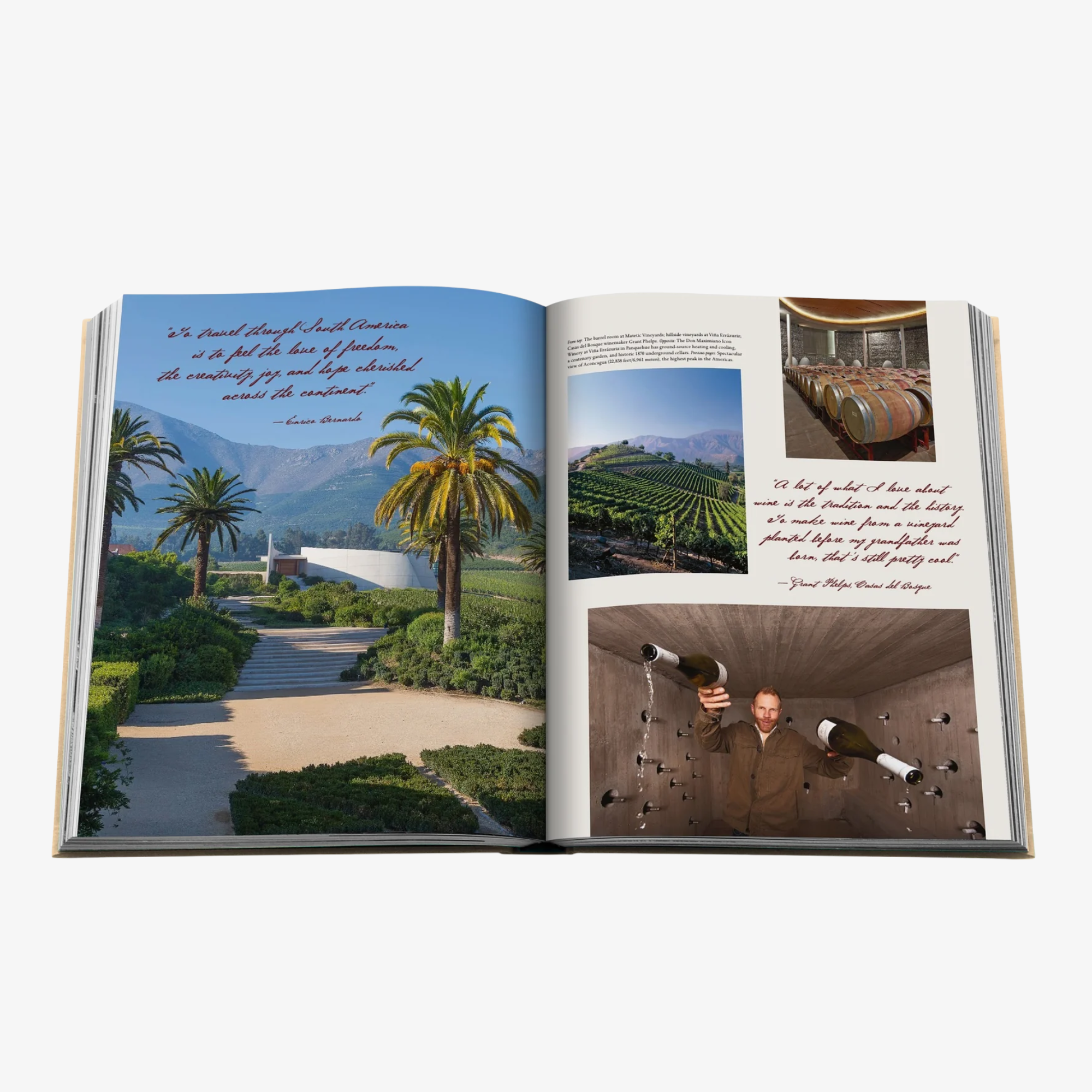 Wine & Travel: Latin America