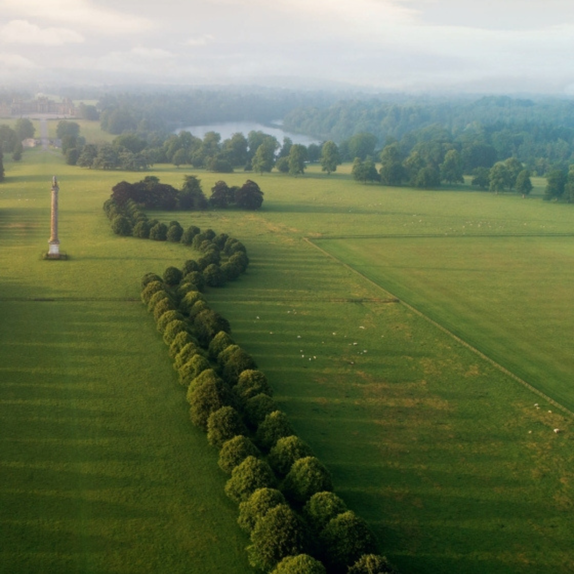 Blenheim: 300 Years of Life in a Palace