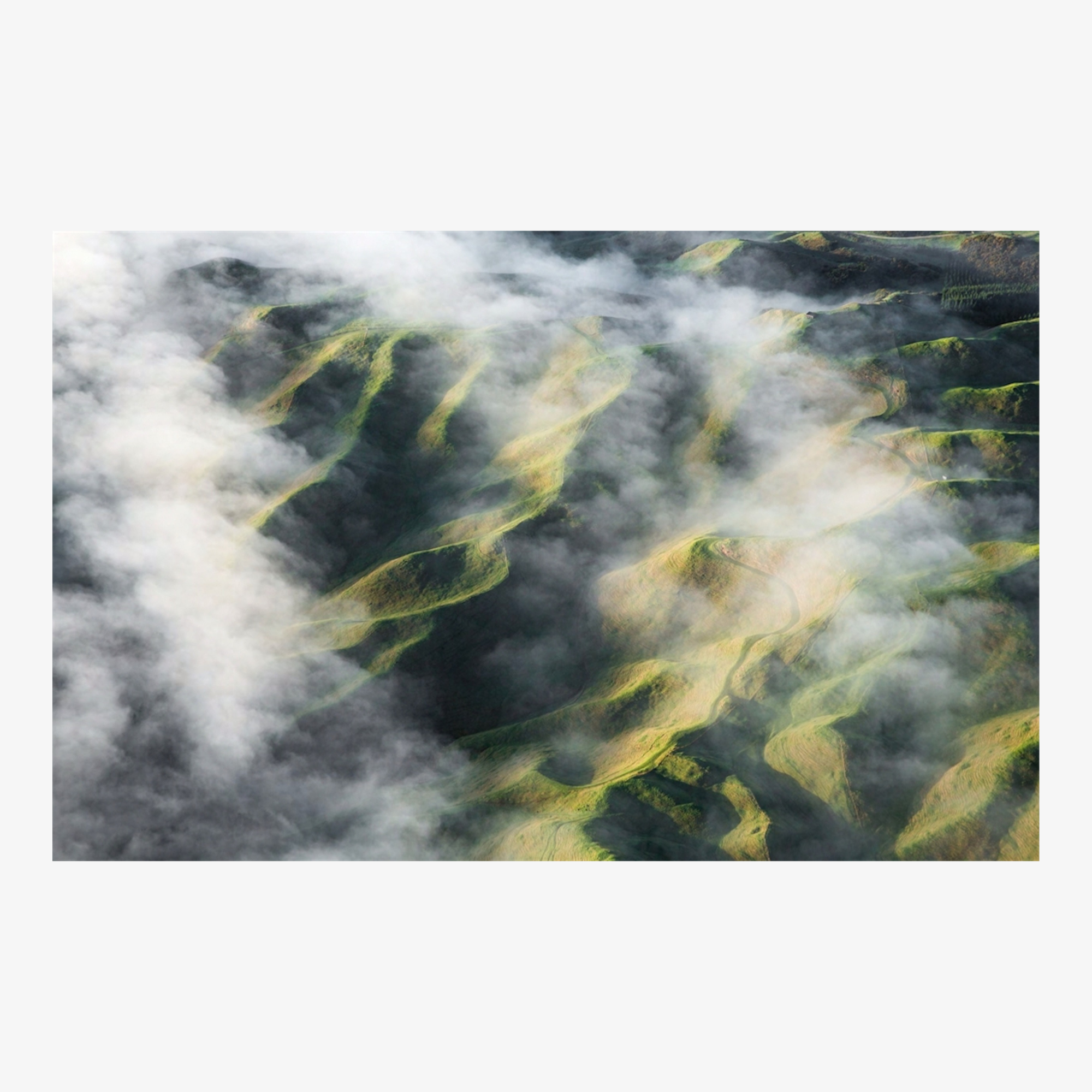 Eden: A Portrait of Mountain Biking in Aotearoa New Zealand