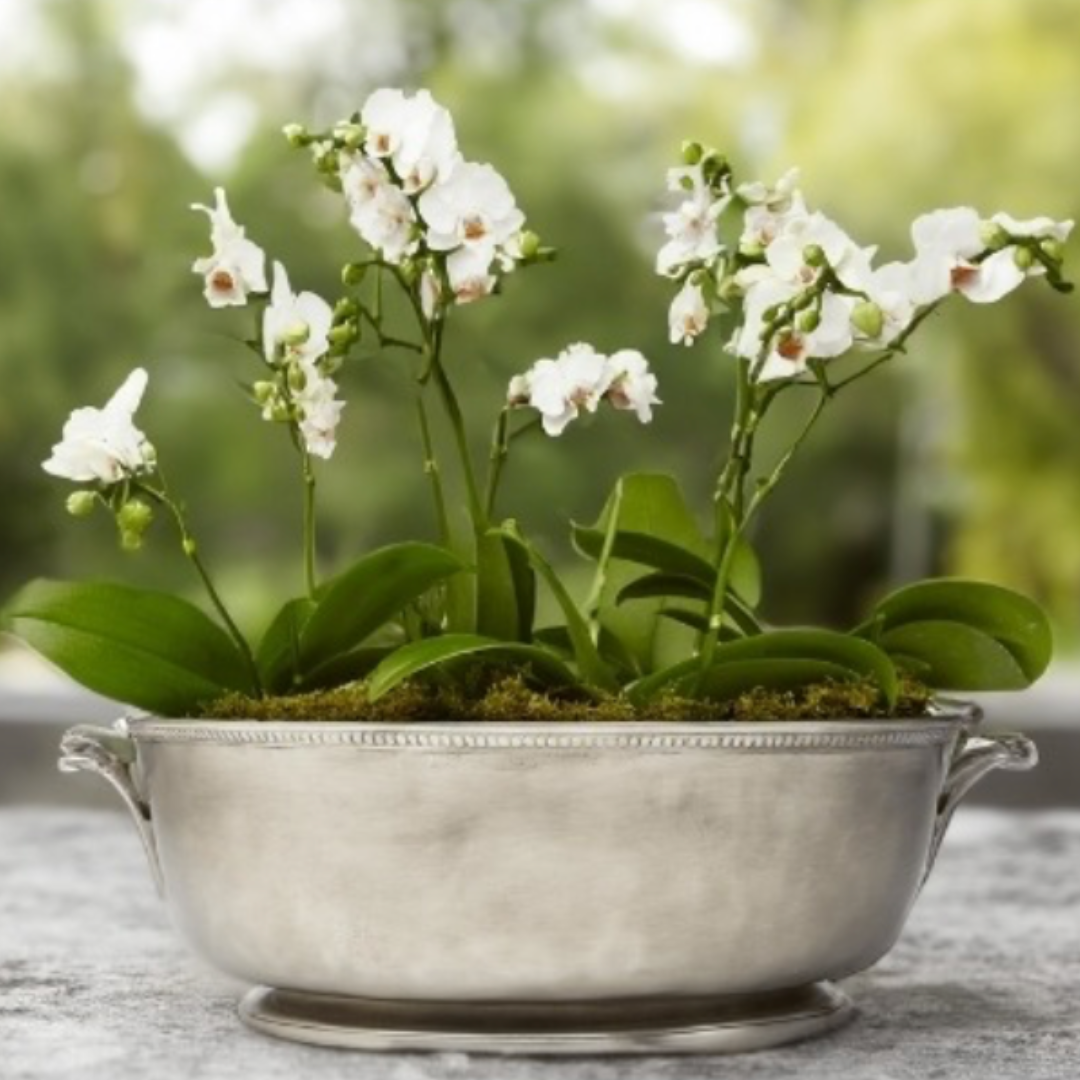 Beaded Footed Oval Basin